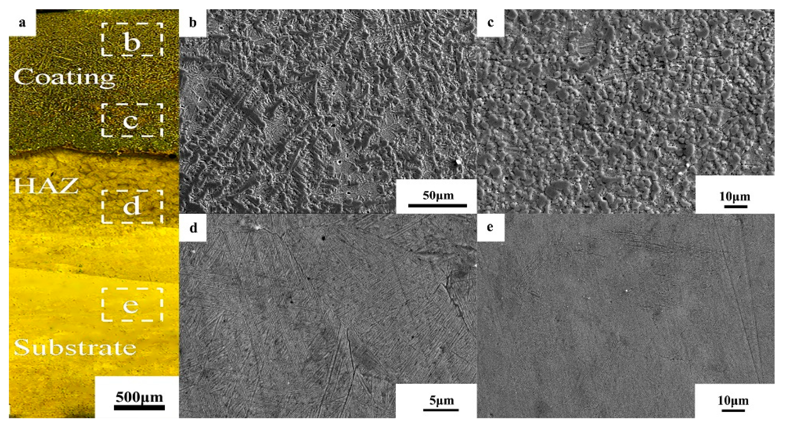 Coatings 09 00261 g005