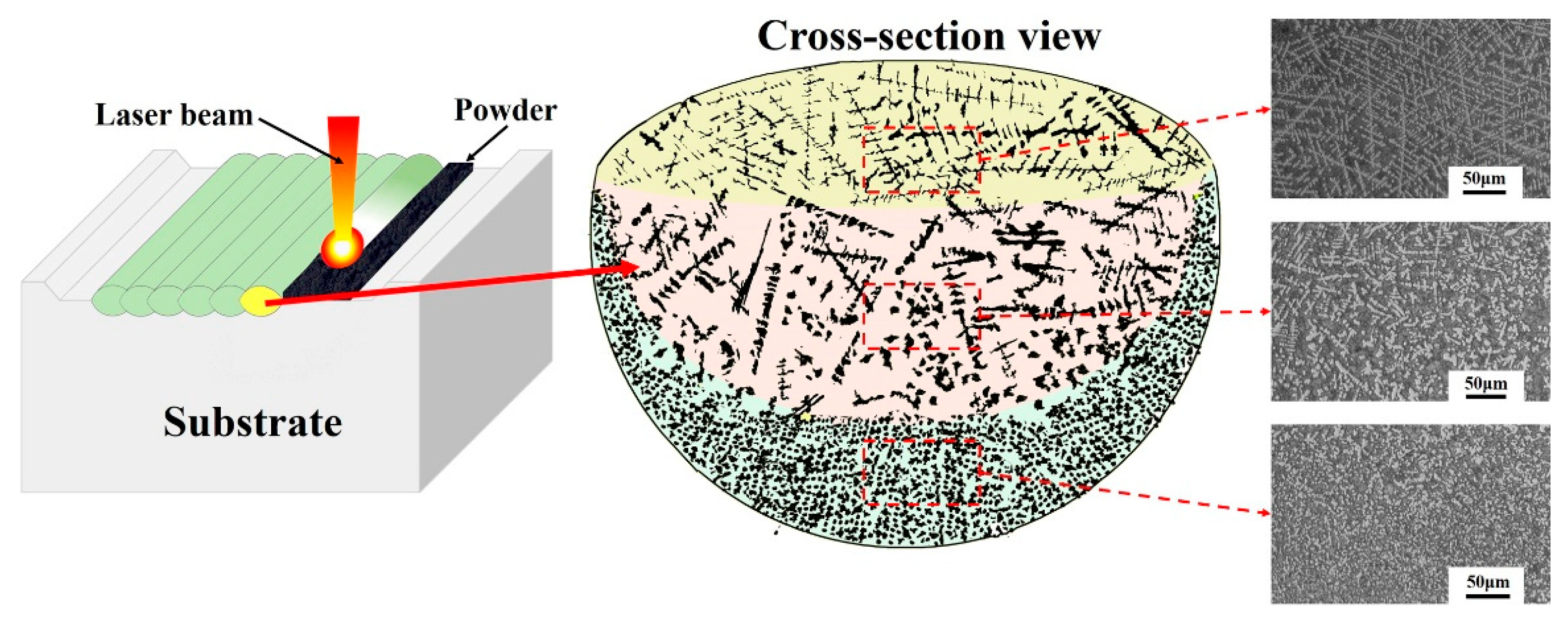 Coatings 09 00261 g011