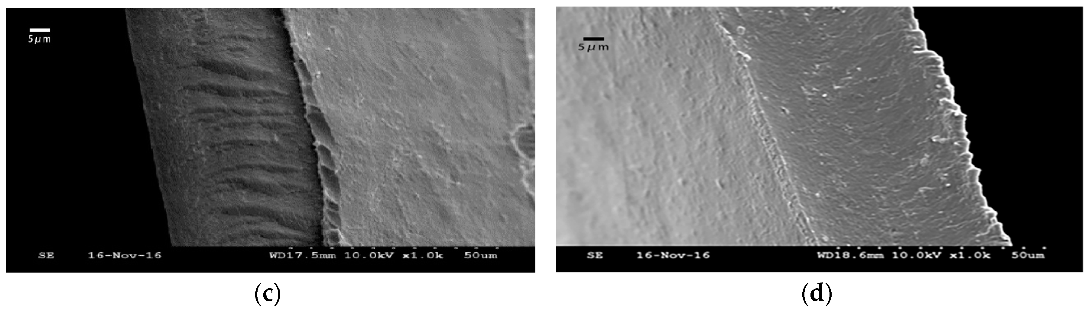 Coatings 09 00262 g002b