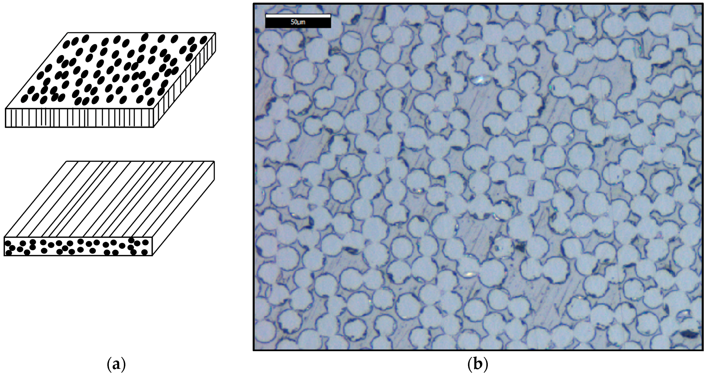 Coatings 09 00263 g002