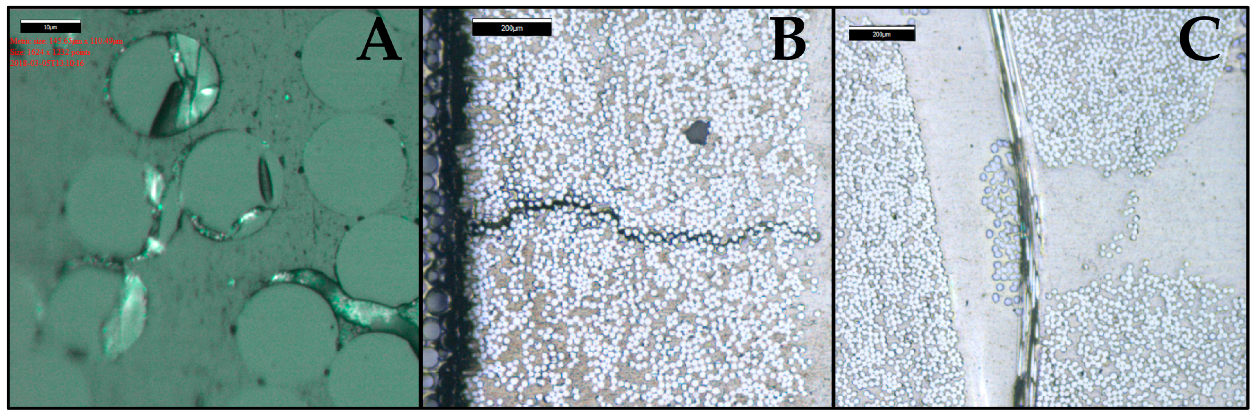 Coatings 09 00263 g011