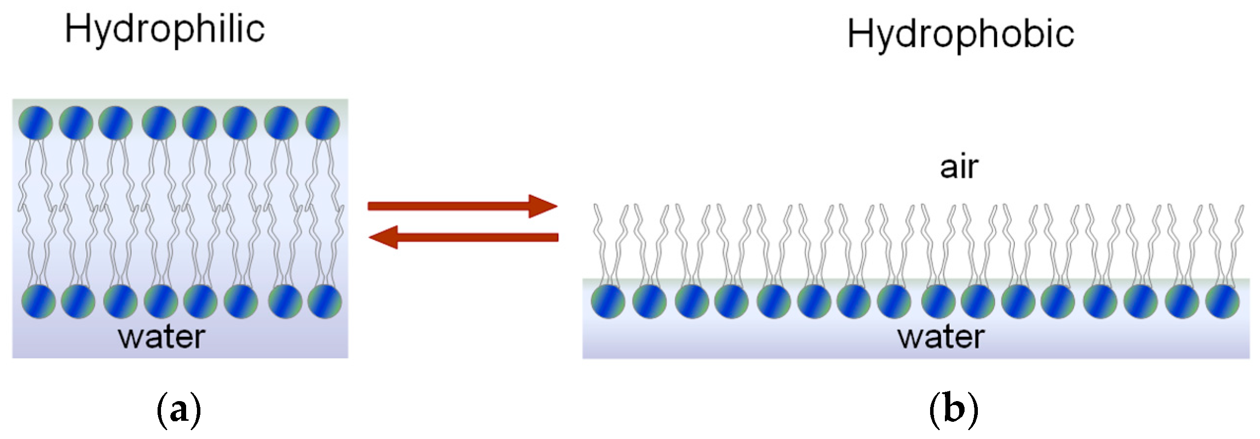 Coatings 09 00264 g001