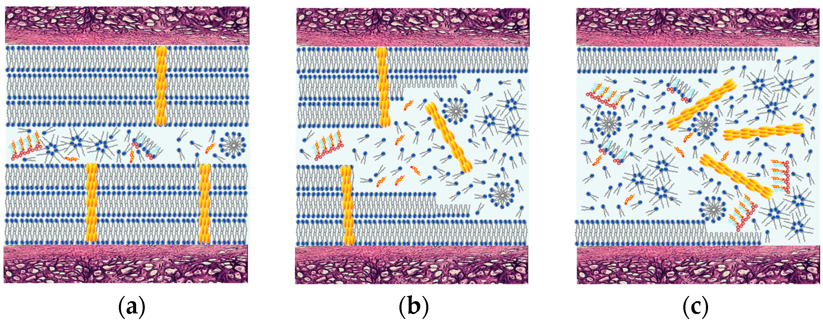Coatings 09 00264 g006