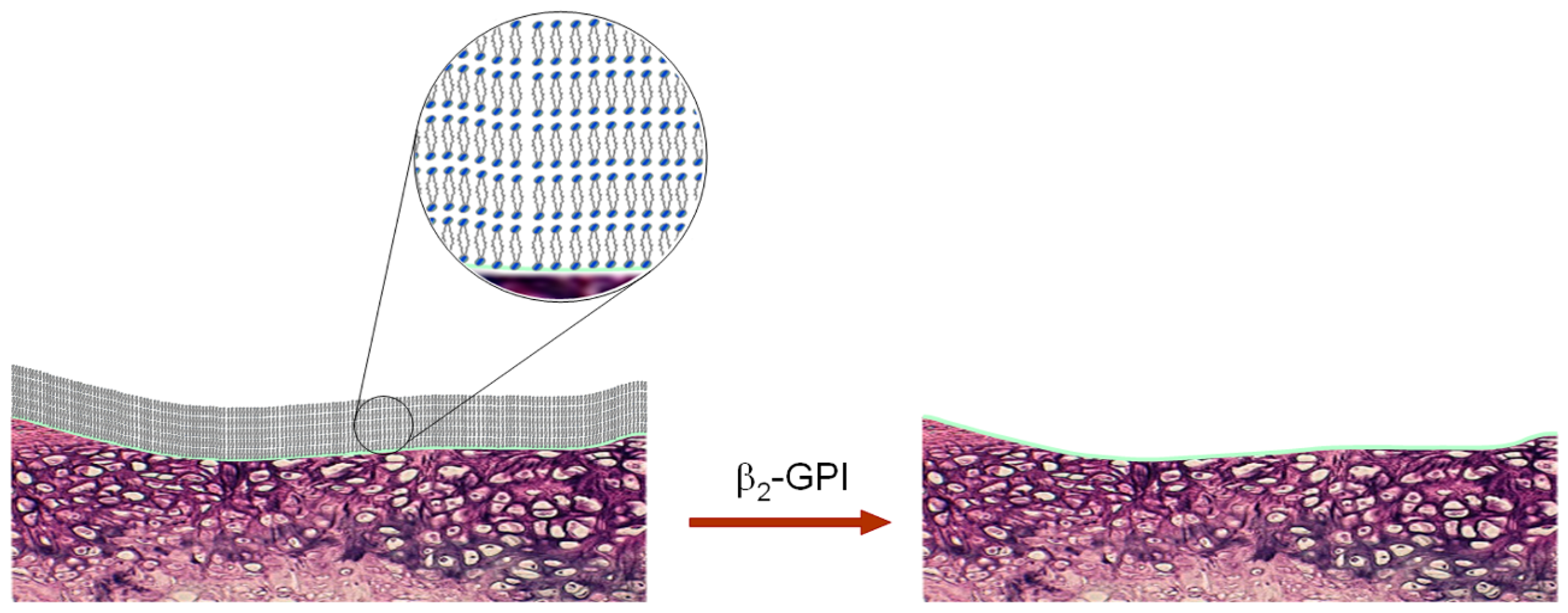 Coatings 09 00264 g007