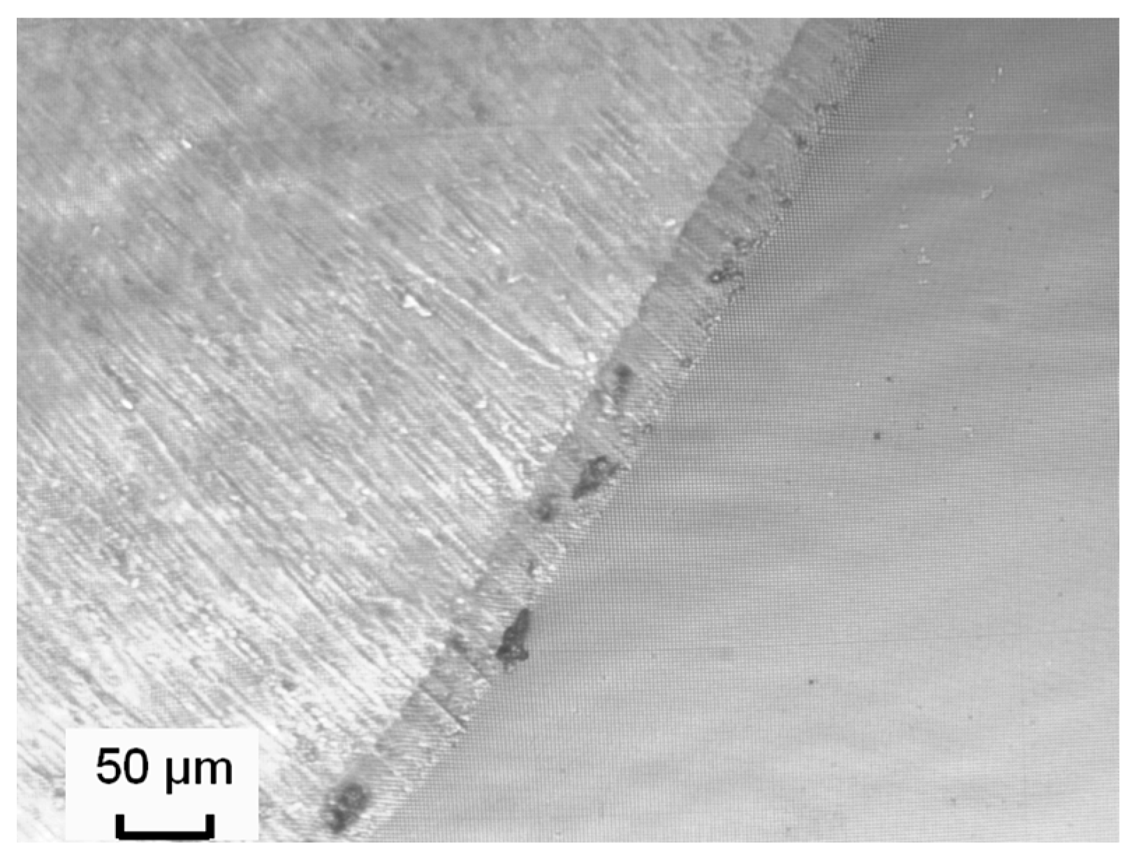 Coatings 09 00267 g003