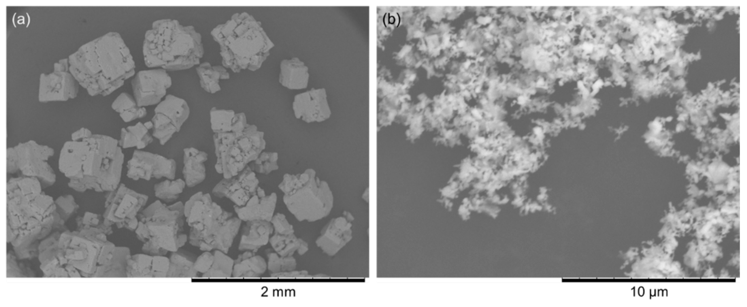 Coatings 09 00278 g001