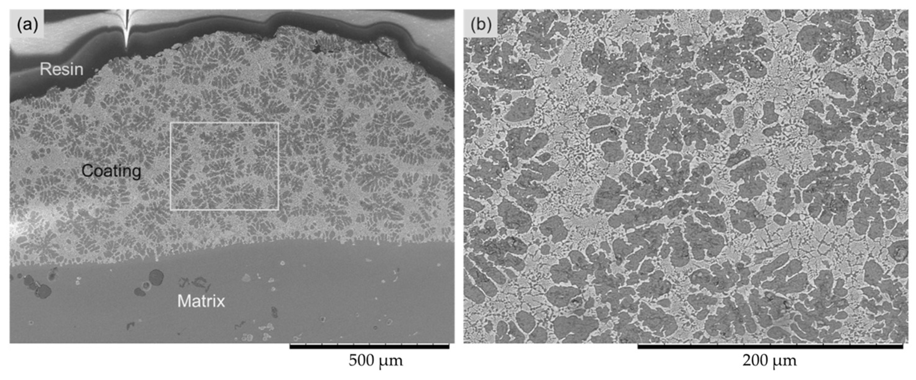 Coatings 09 00278 g003