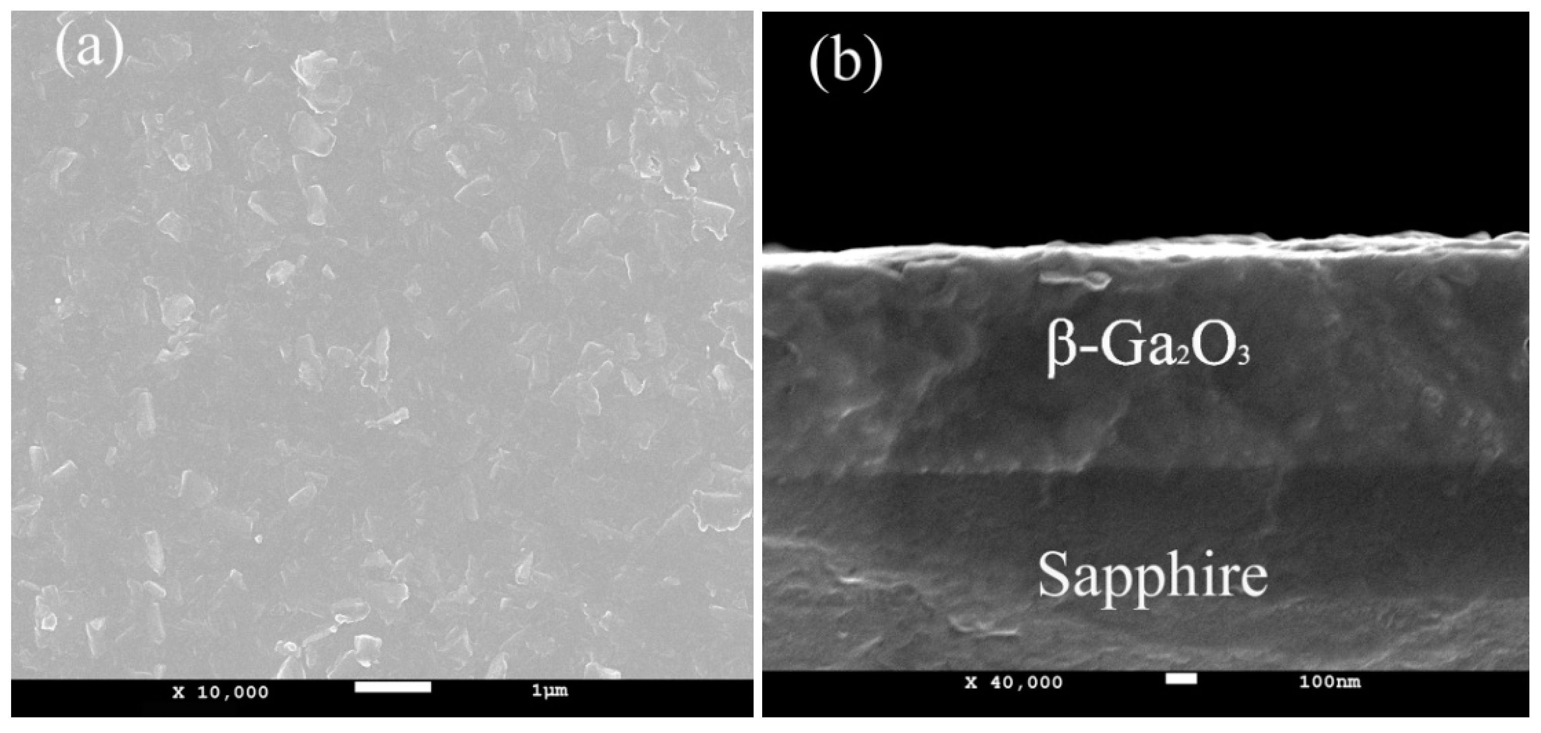 Coatings 09 00281 g004