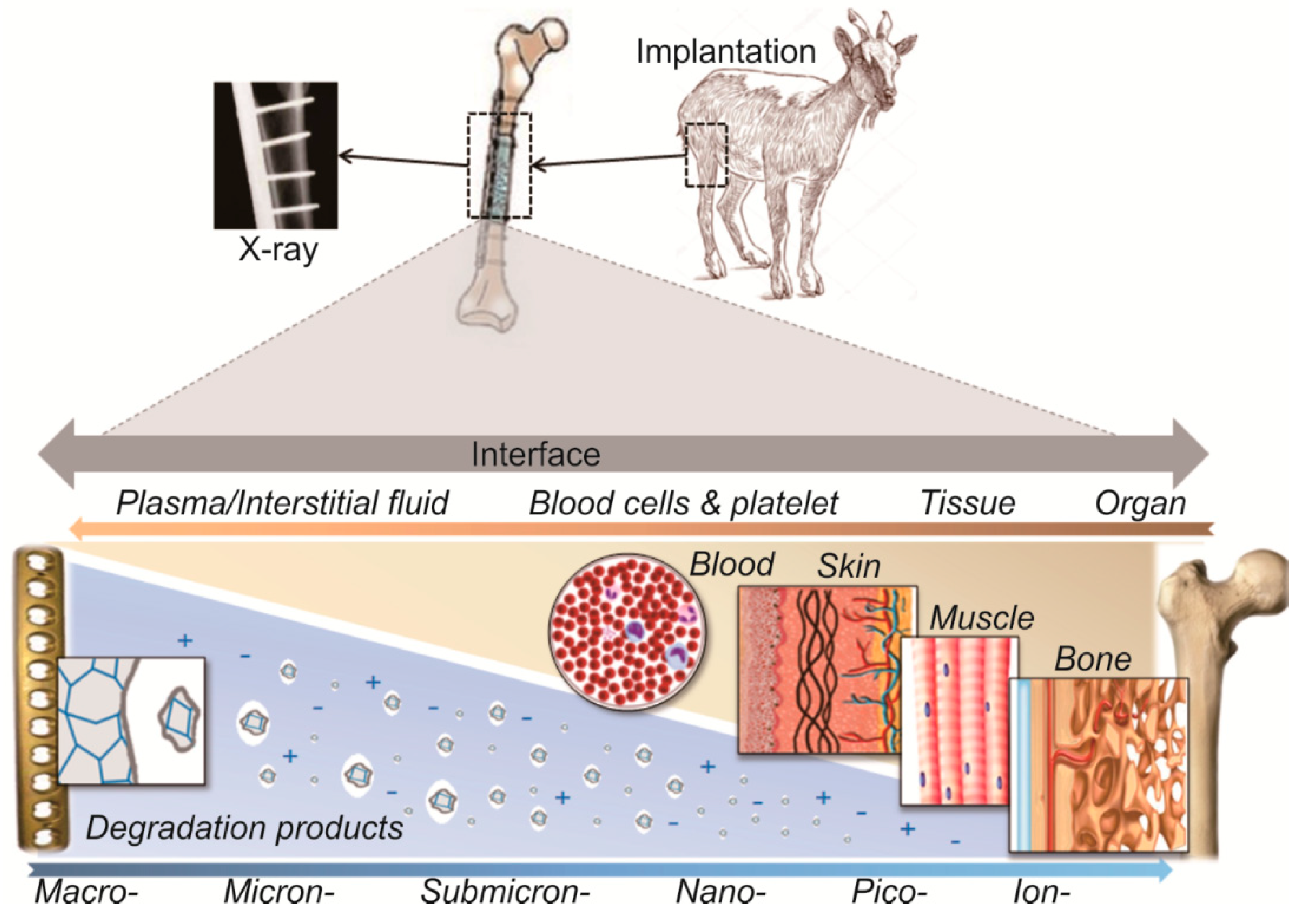Coatings 09 00282 g001 Coatings 09 00282 g001