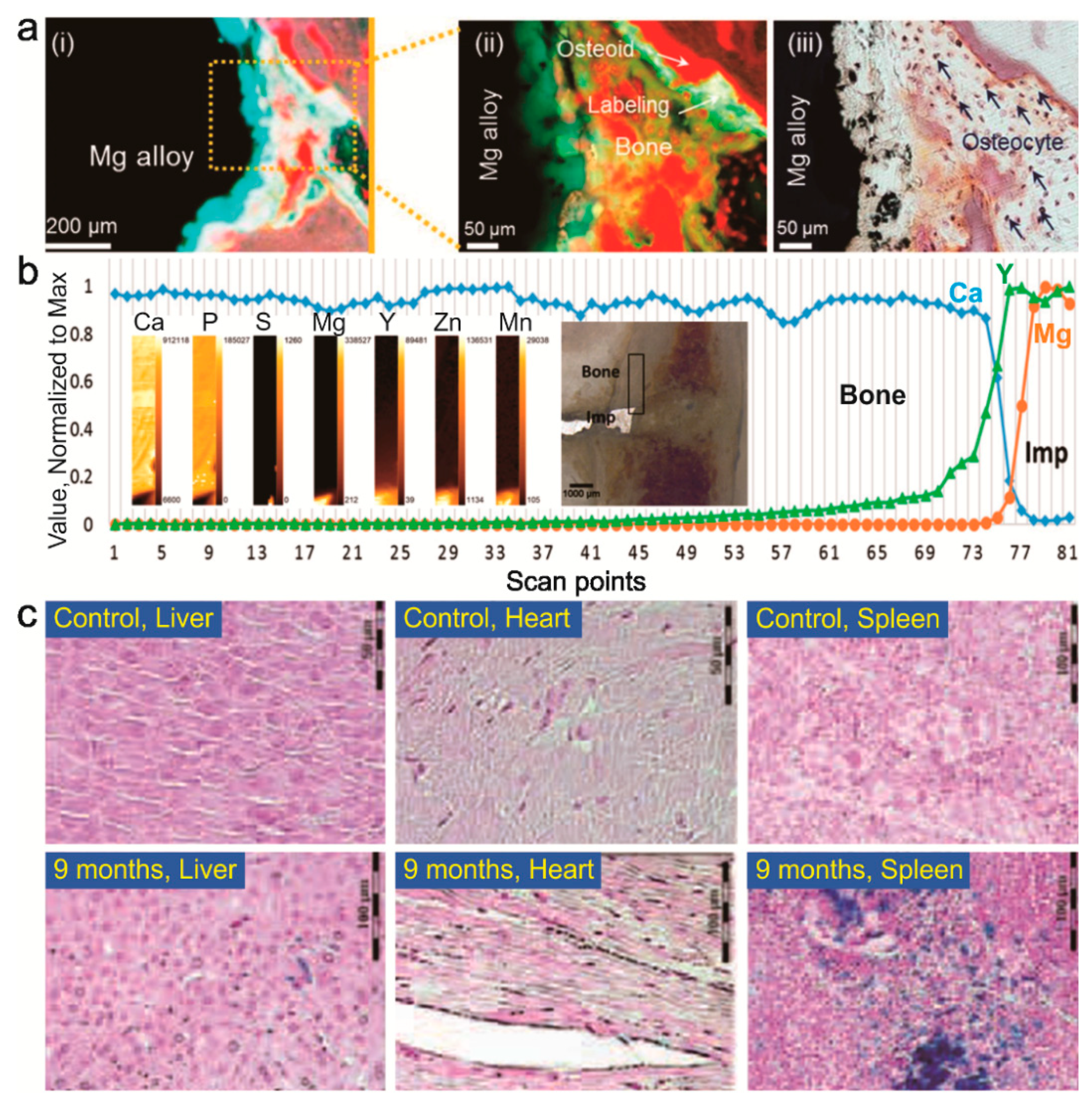 Coatings 09 00282 g003 Coatings 09 00282 g003