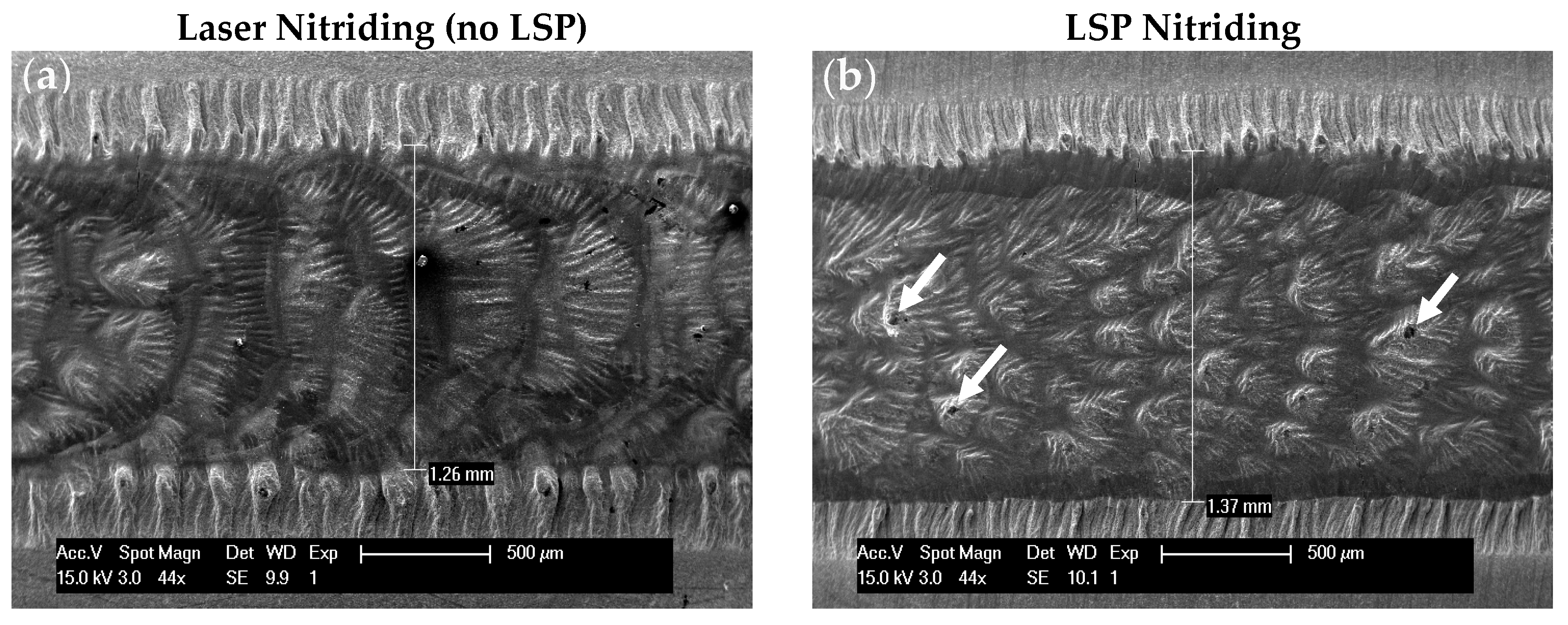 Coatings 09 00283 g009a
