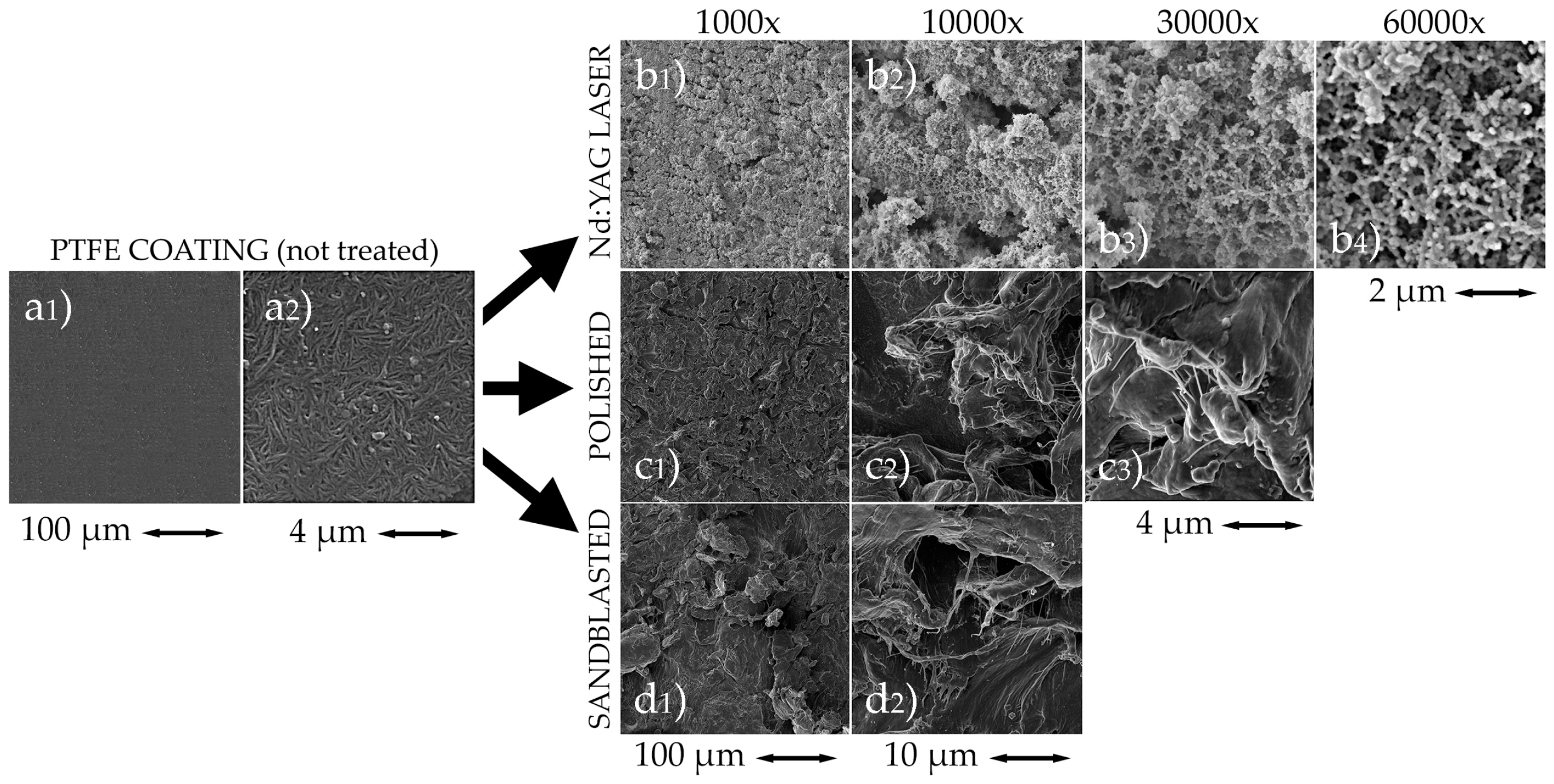 Coatings 09 00293 g002