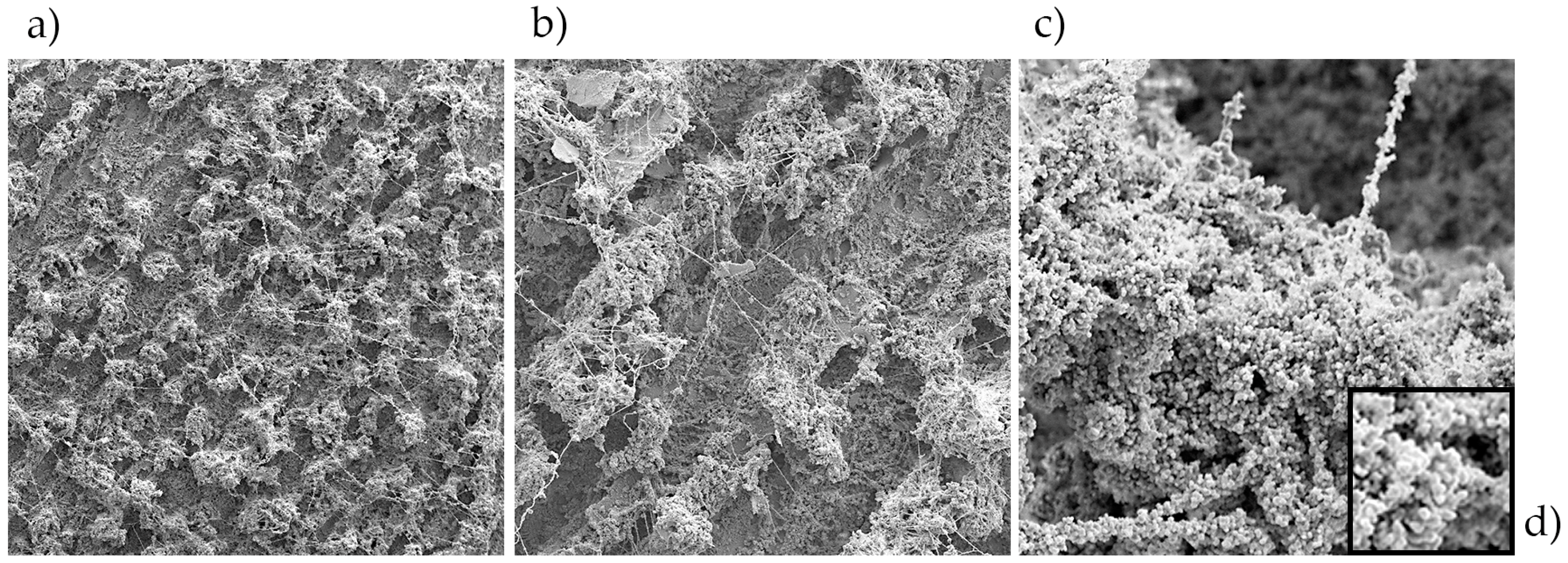 Coatings 09 00293 g007