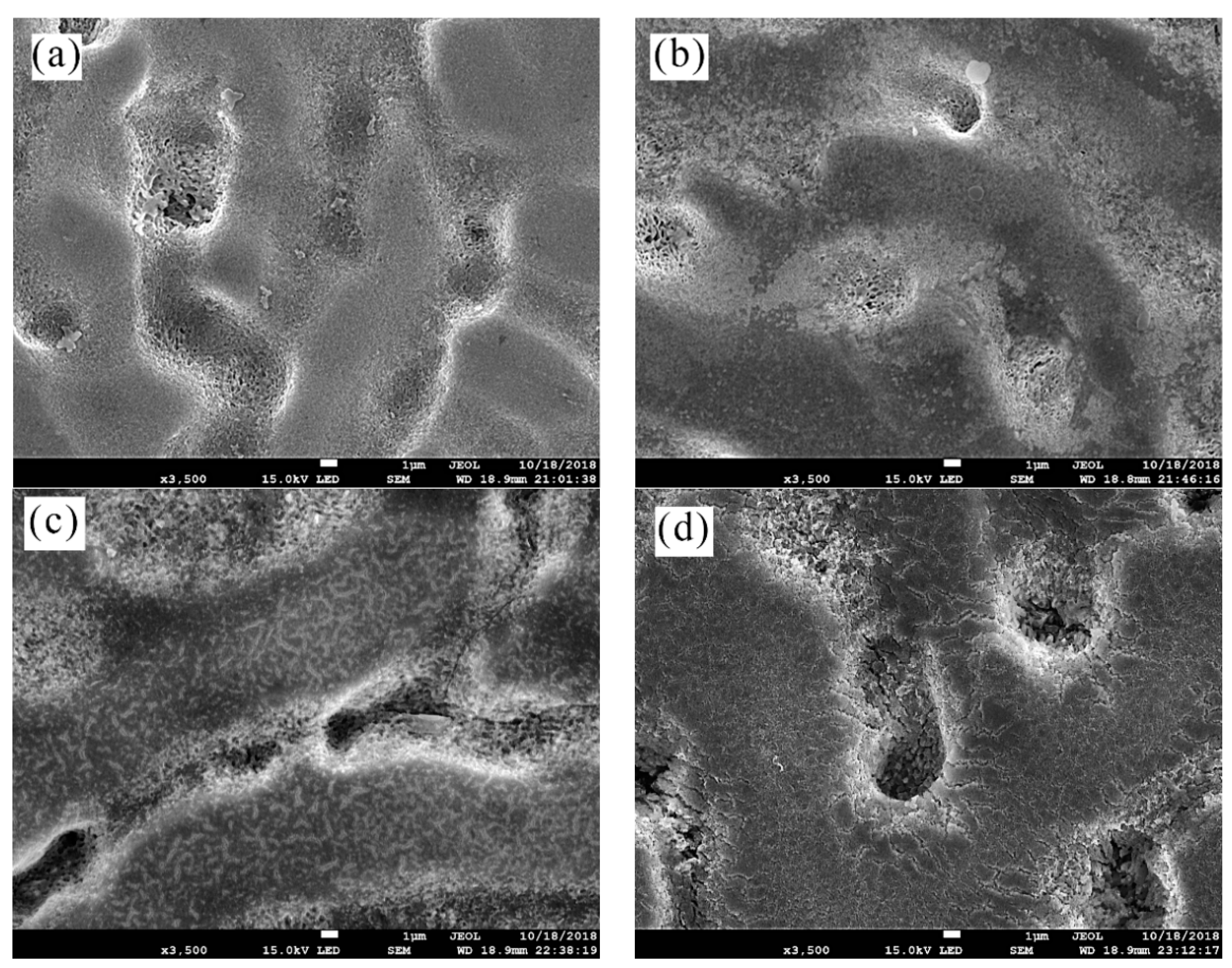 Coatings 09 00297 g005 Coatings 09 00297 g005