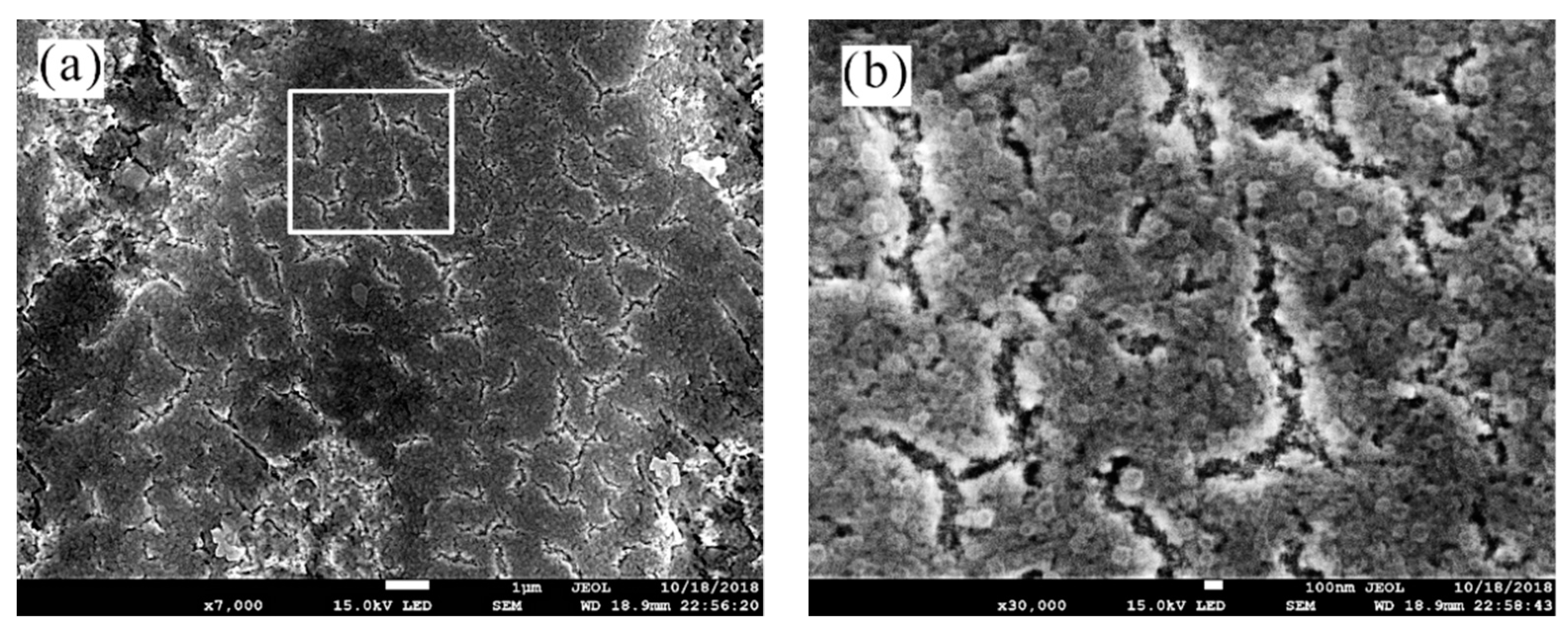 Coatings 09 00297 g006 Coatings 09 00297 g006