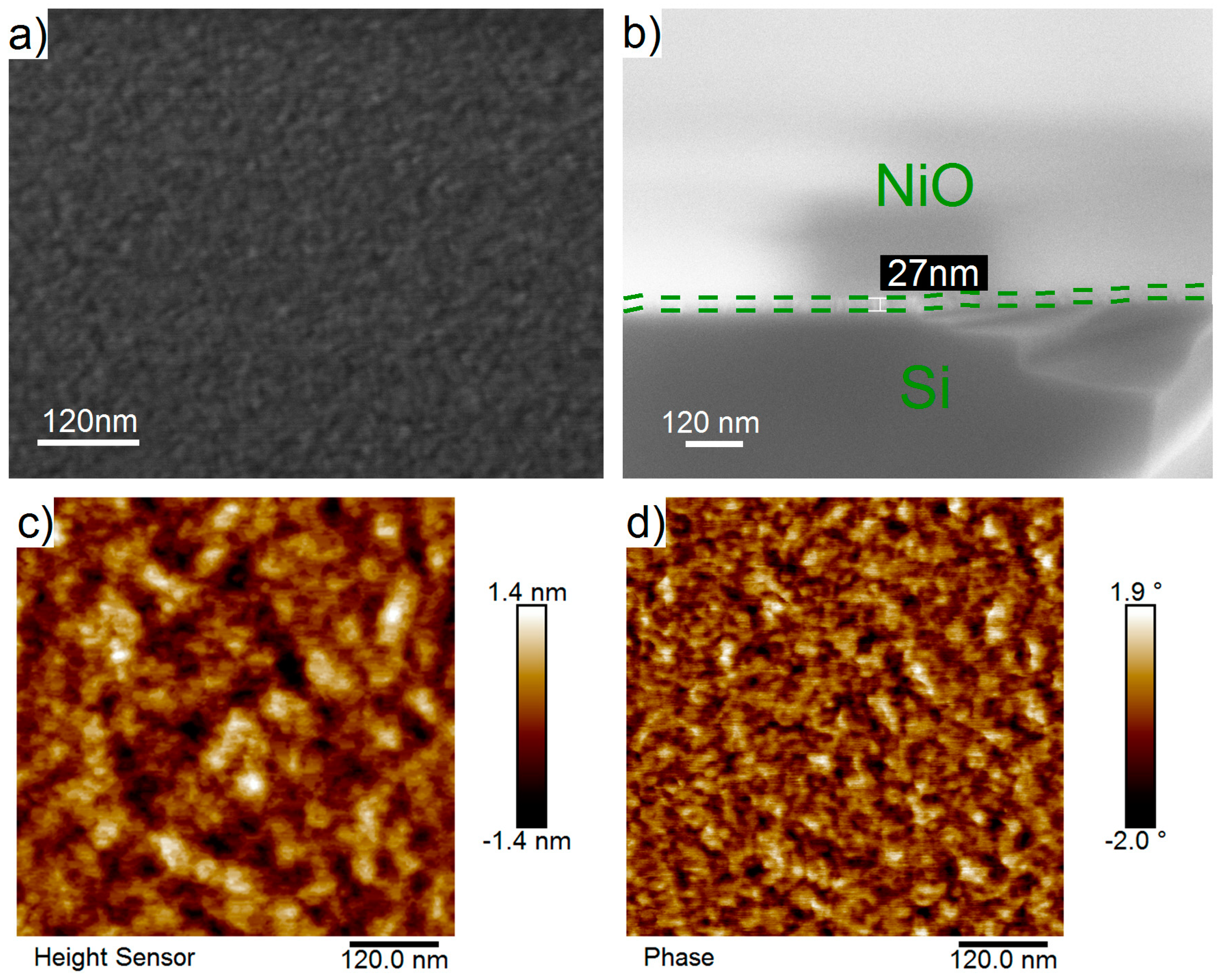 Coatings 09 00301 g005