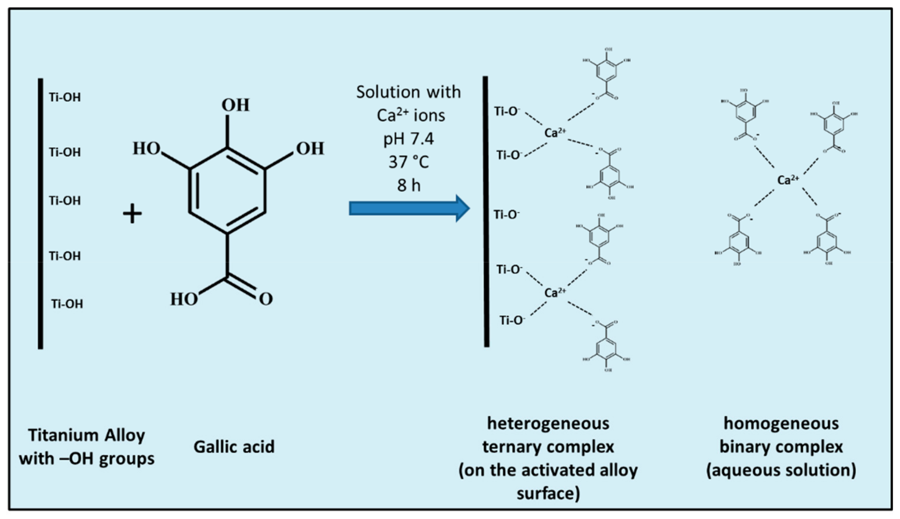 Coatings 09 00302 g002