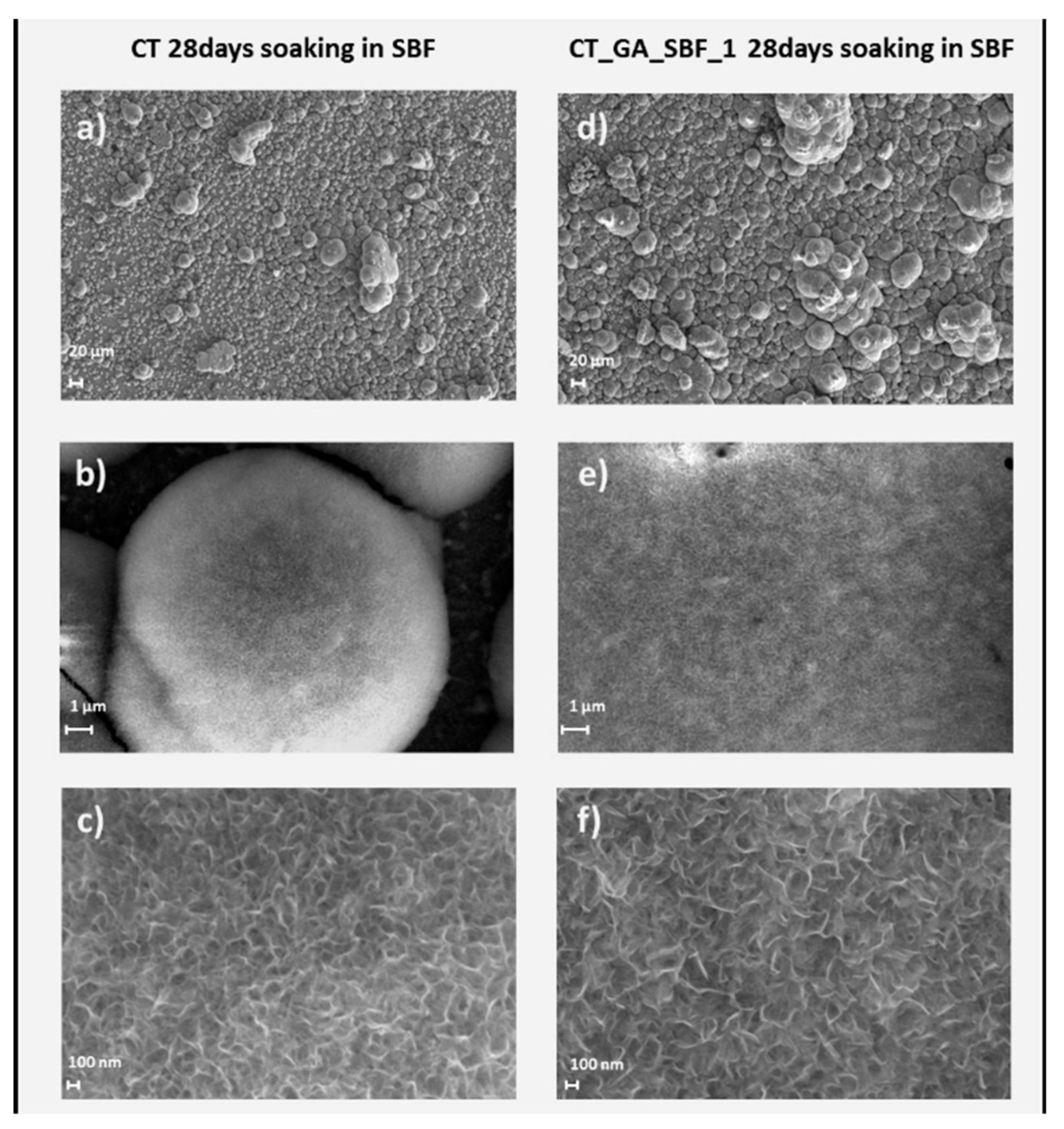 Coatings 09 00302 g006