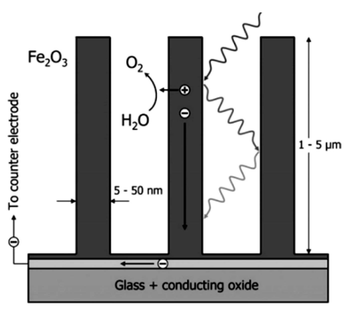 Coatings 09 00309 g012