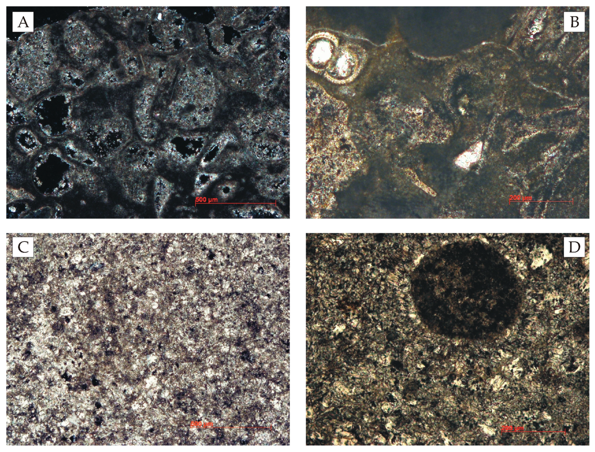 Coatings 09 00330 g004