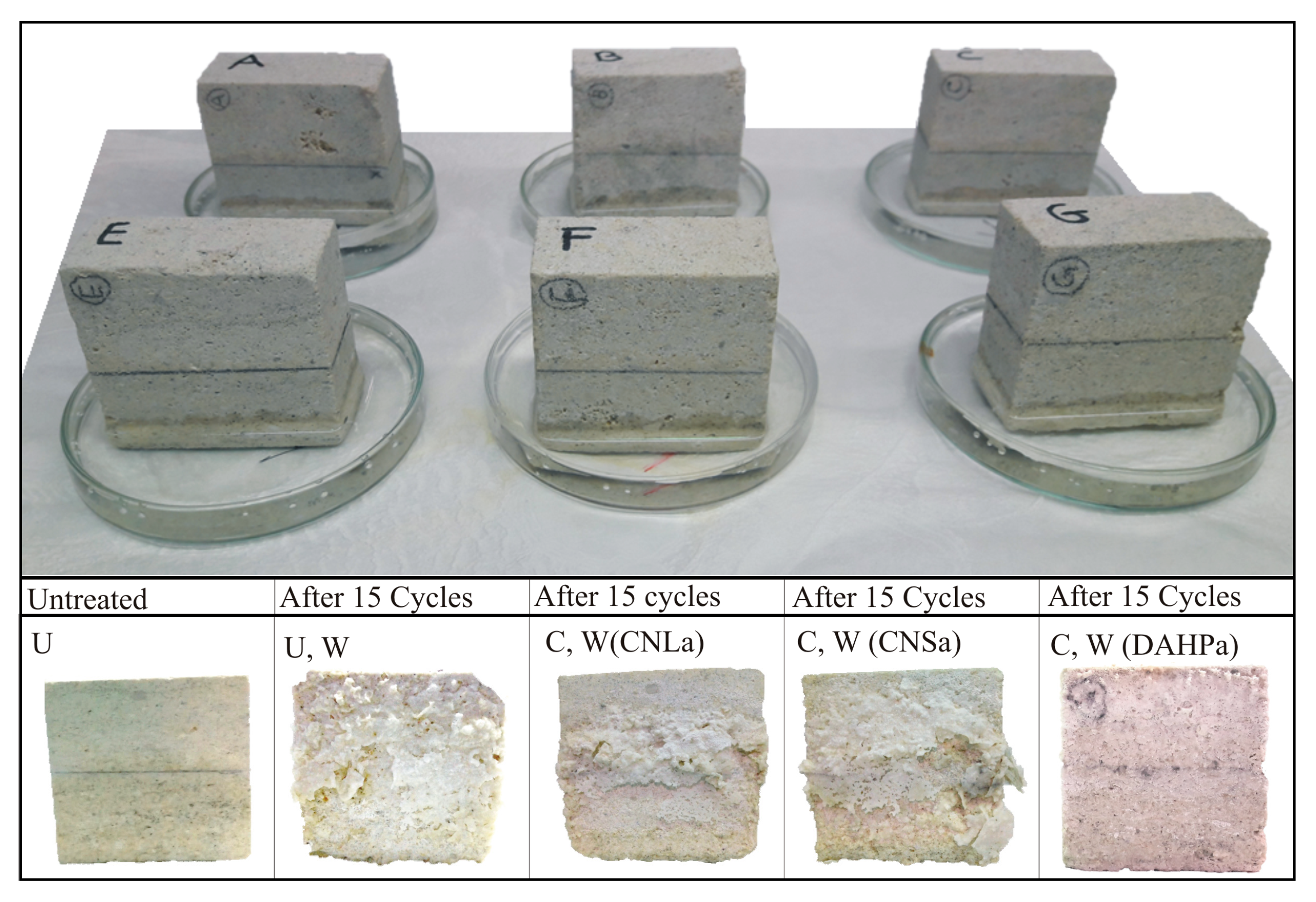 Coatings 09 00330 g008