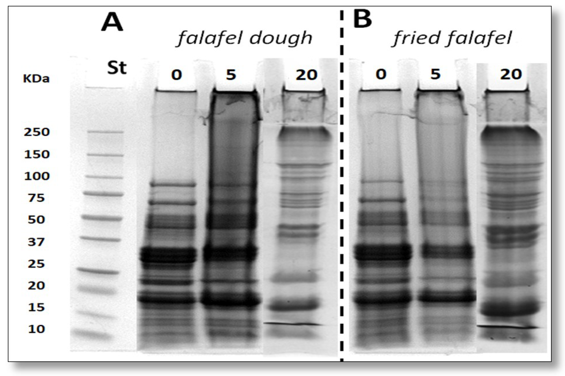 Coatings 09 00331 g001 Coatings 09 00331 g001