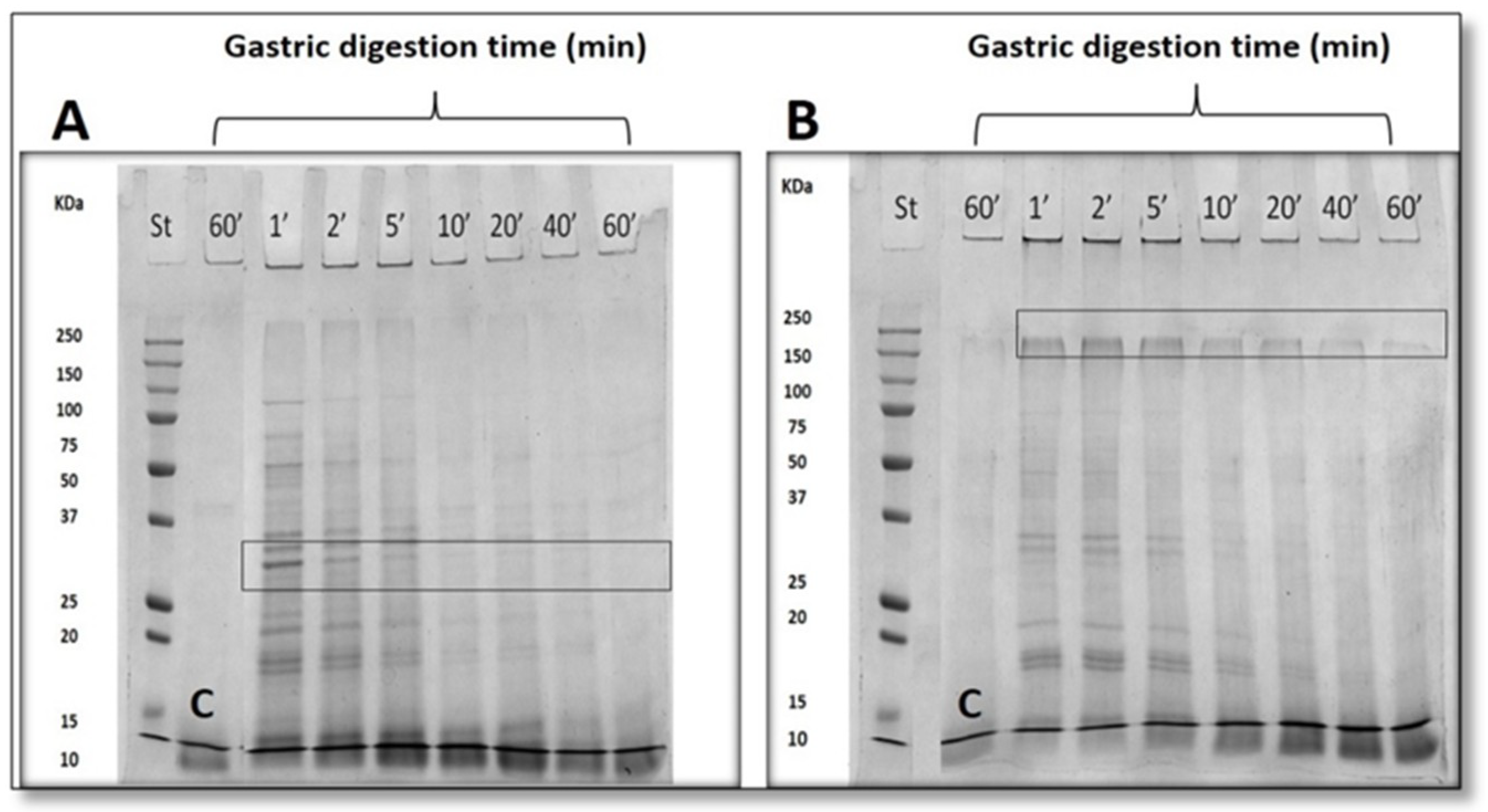 Coatings 09 00331 g005 Coatings 09 00331 g005