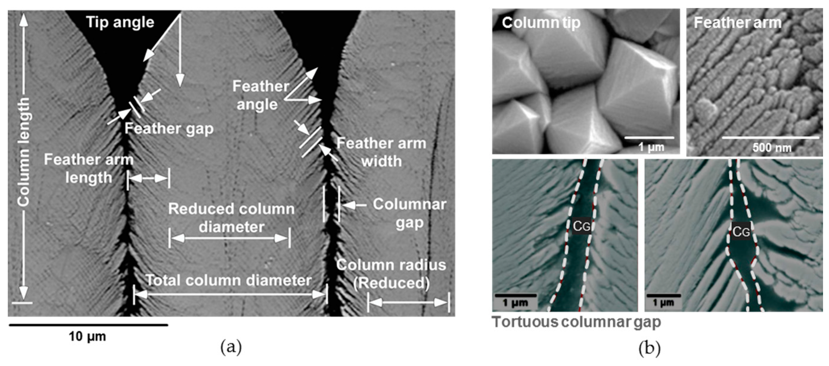 Coatings 09 00332 g003
