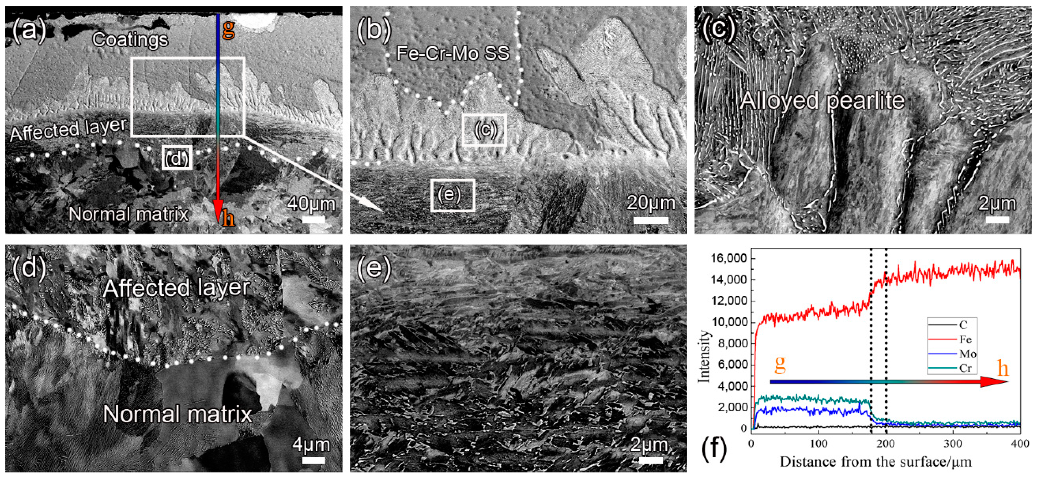 Coatings 09 00336 g002