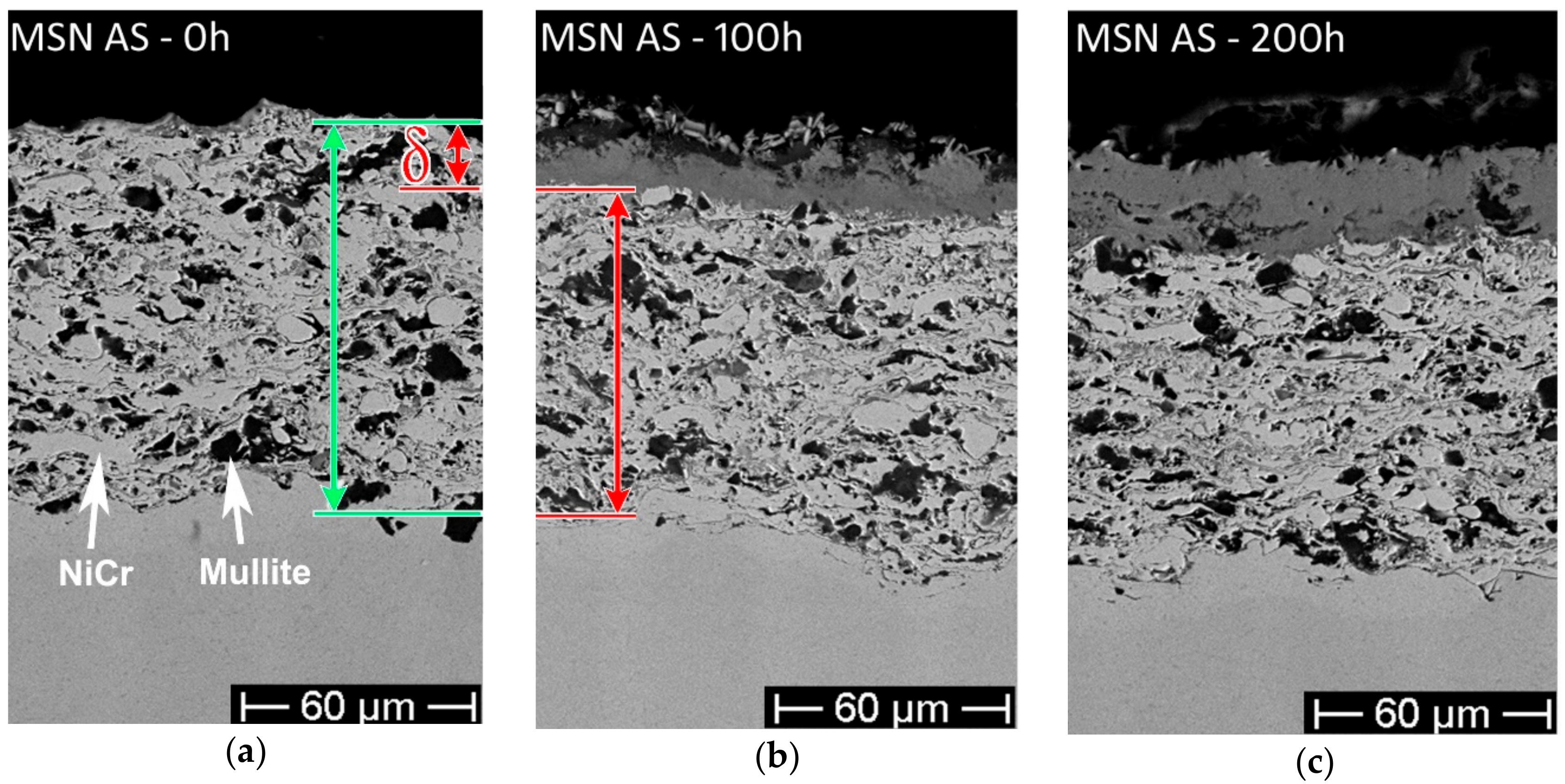 Coatings 09 00347 g005a