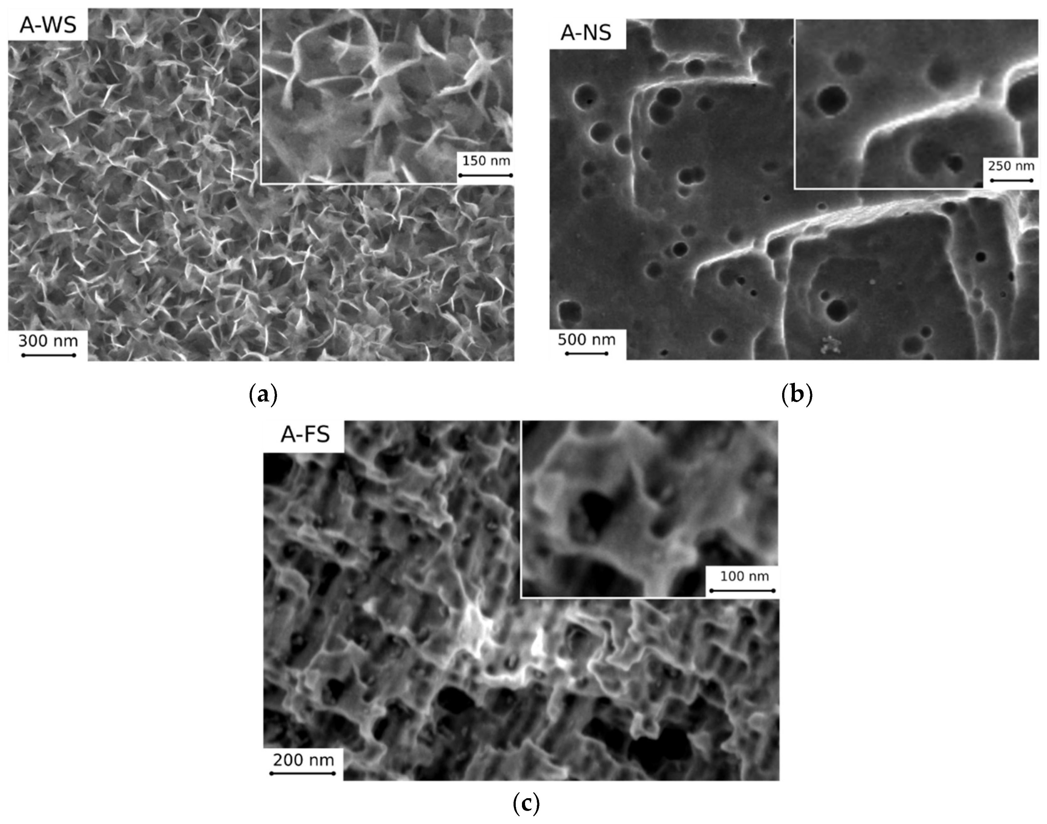 Coatings 09 00352 g001