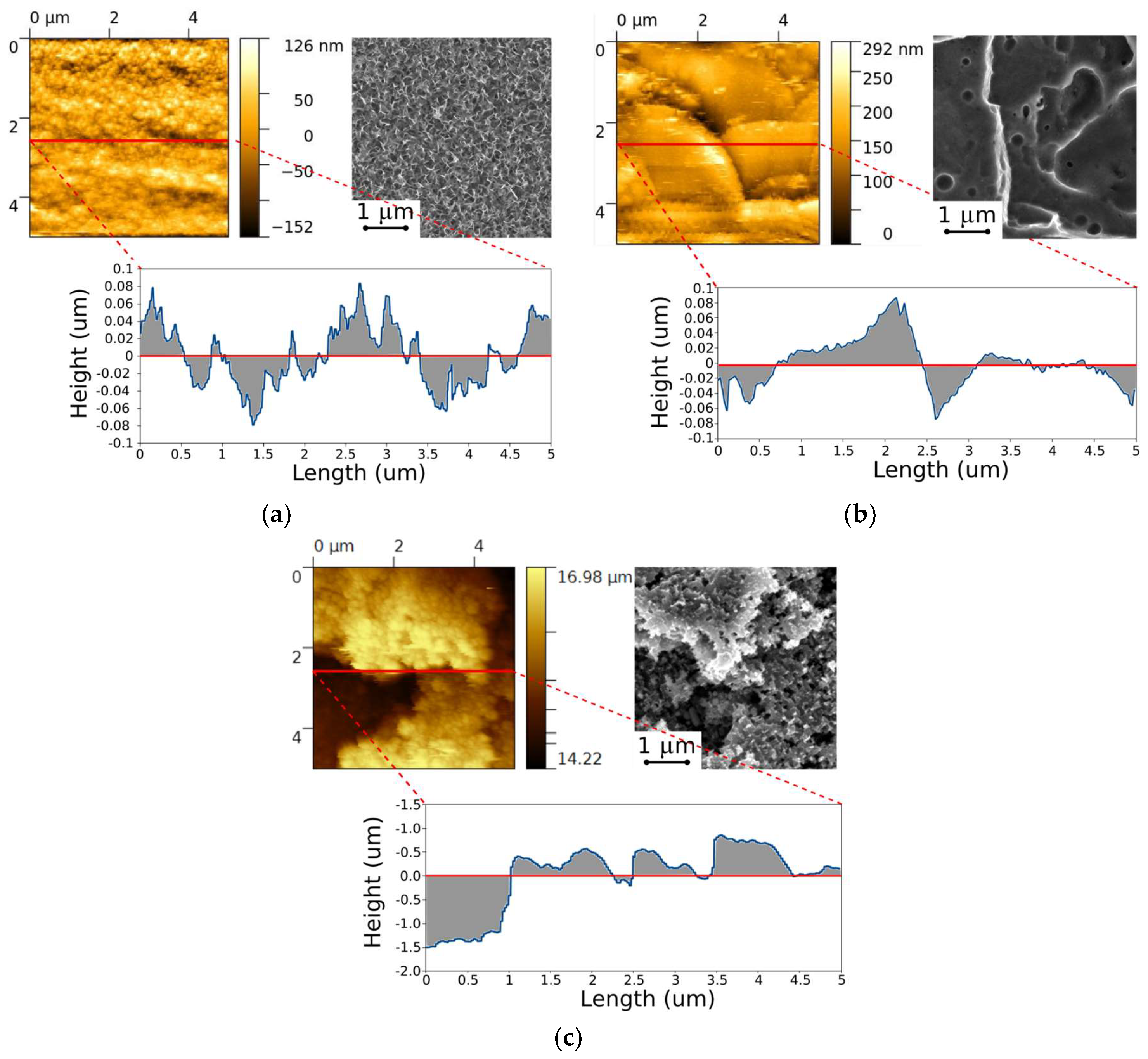 Coatings 09 00352 g002