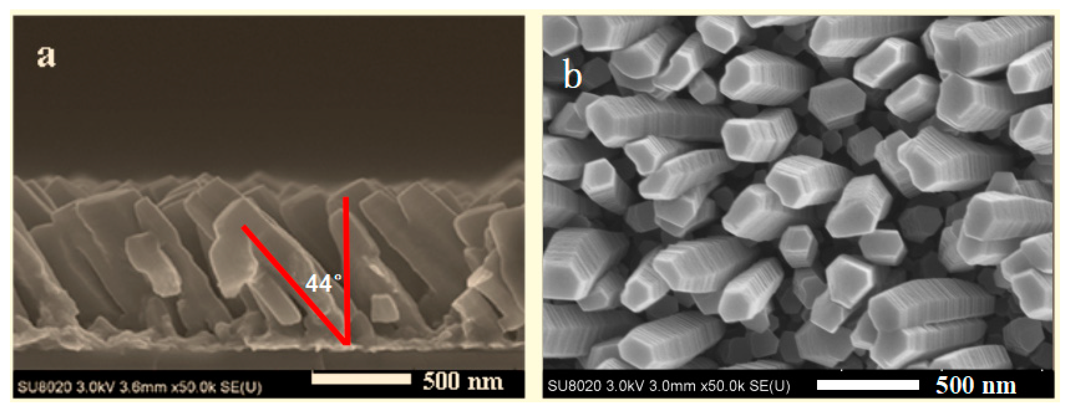 Coatings 09 00361 g005
