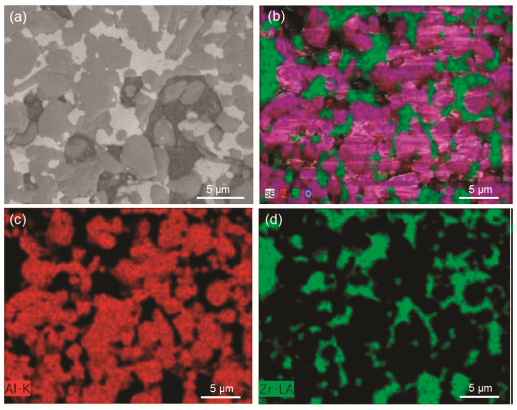 Coatings 09 00369 g007