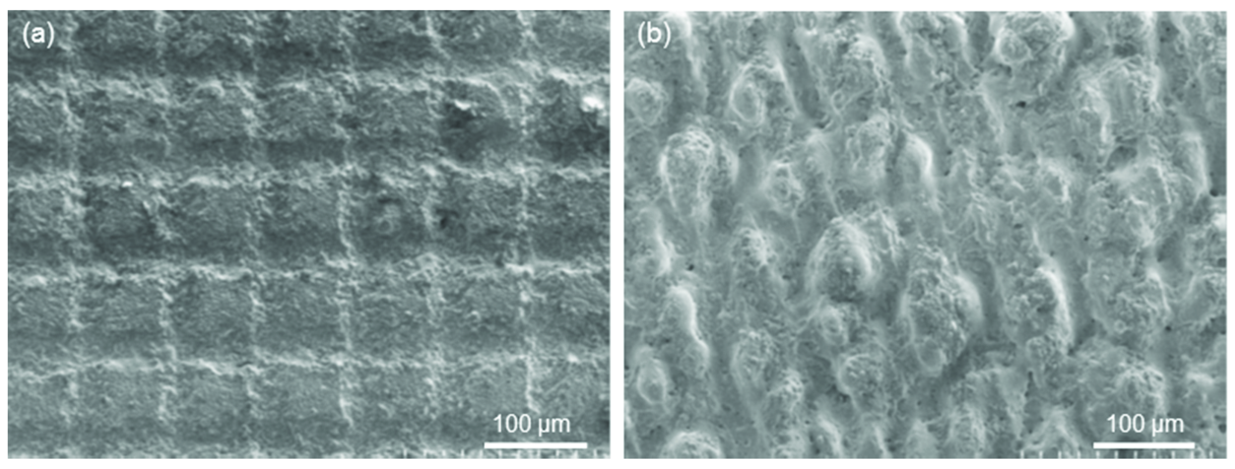 Coatings 09 00369 g010