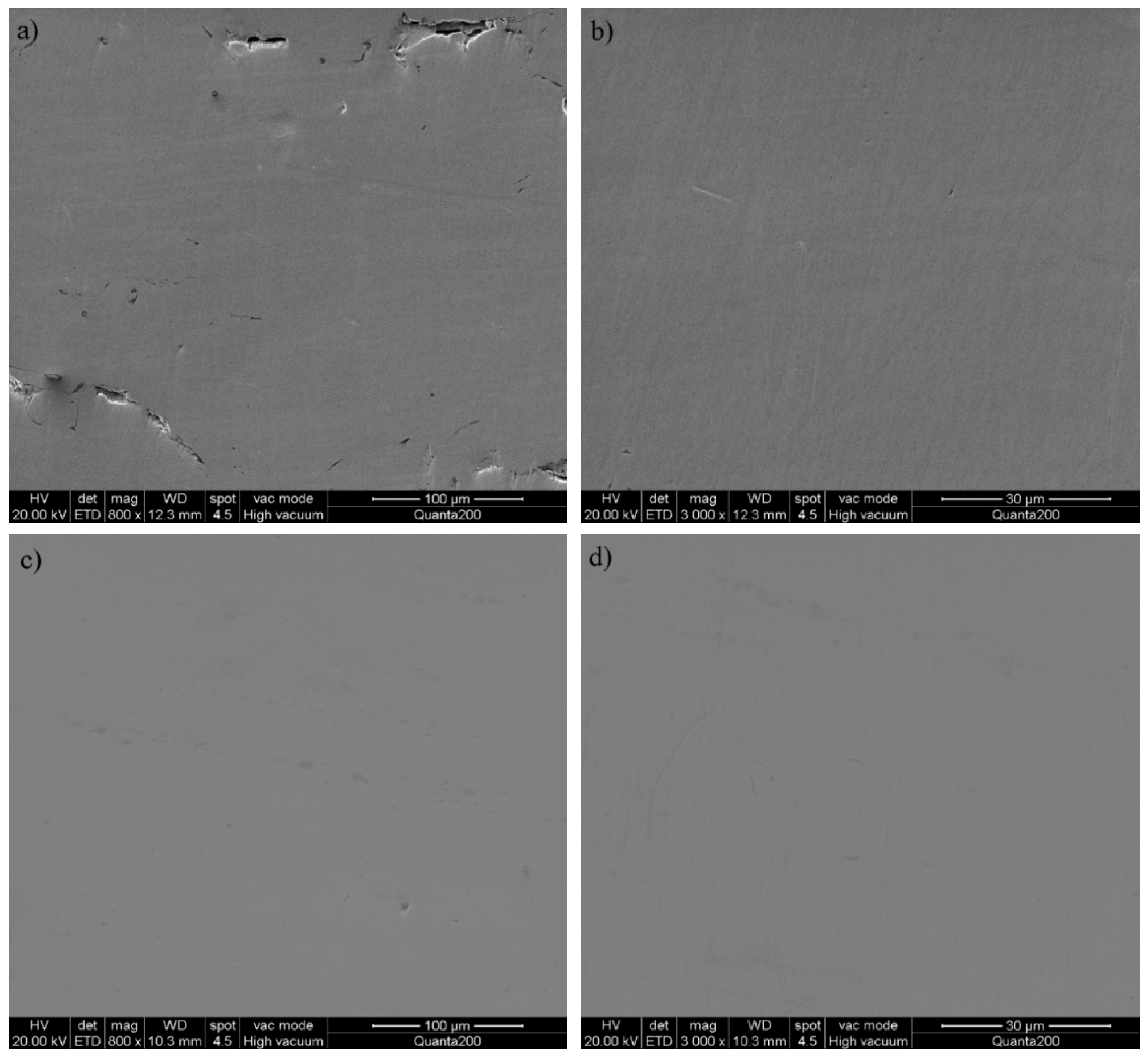 Coatings 09 00377 g001