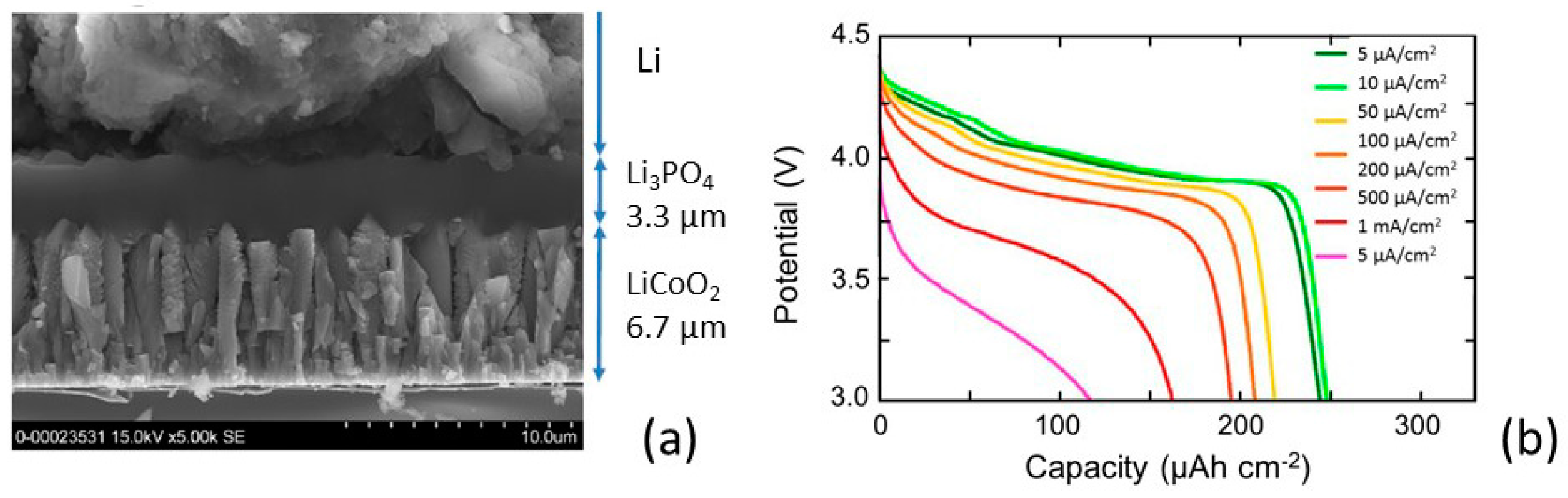 Coatings 09 00386 g005