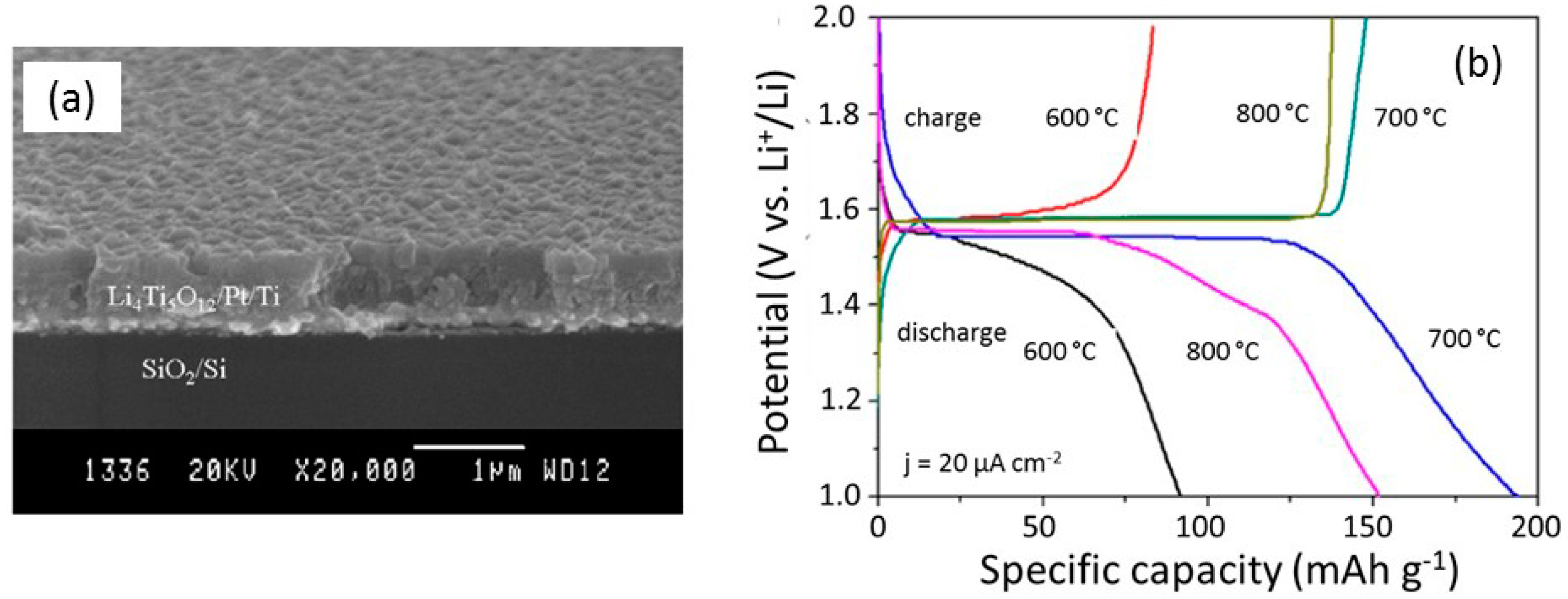 Coatings 09 00386 g016
