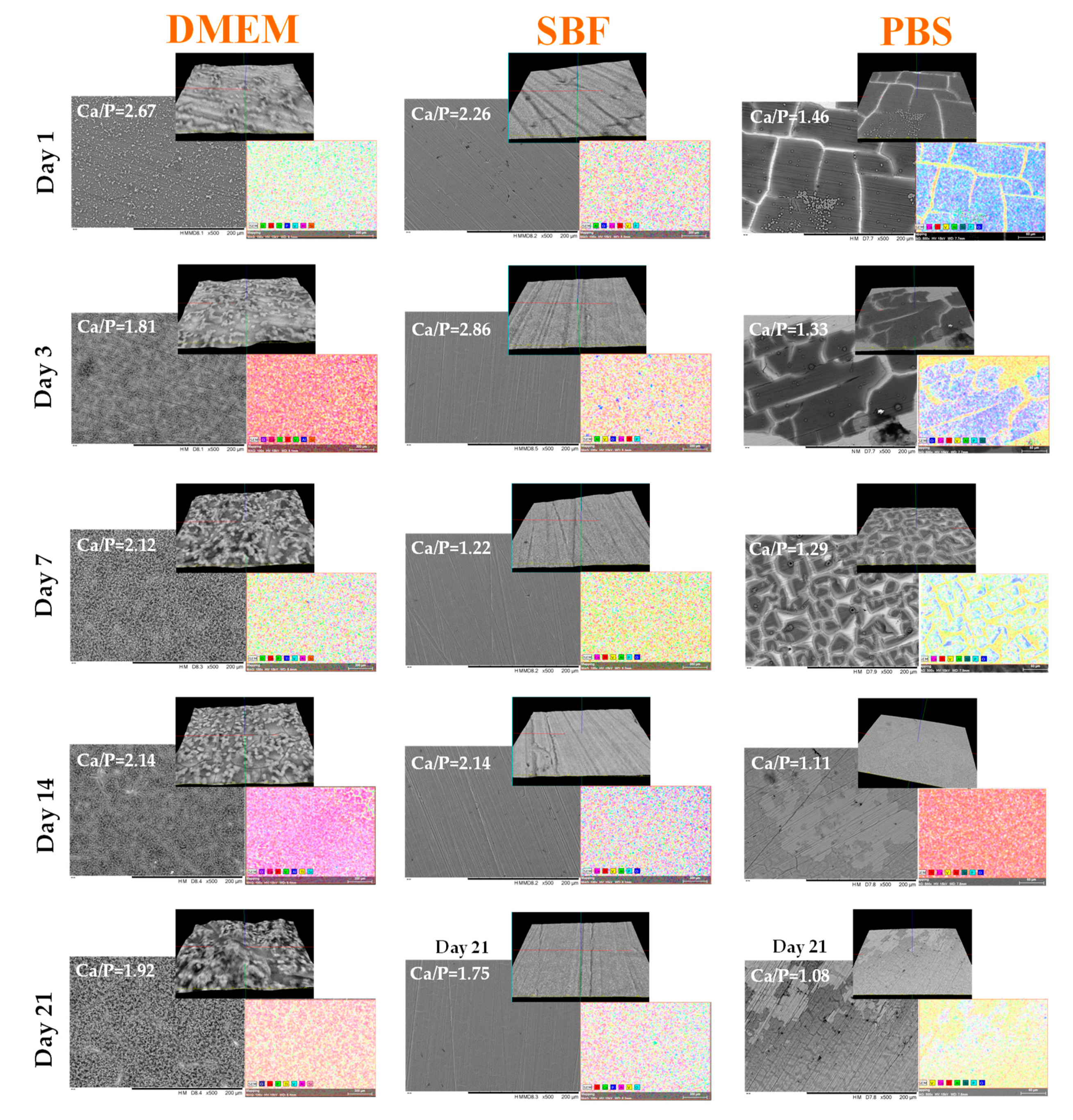 Coatings 09 00389 g002