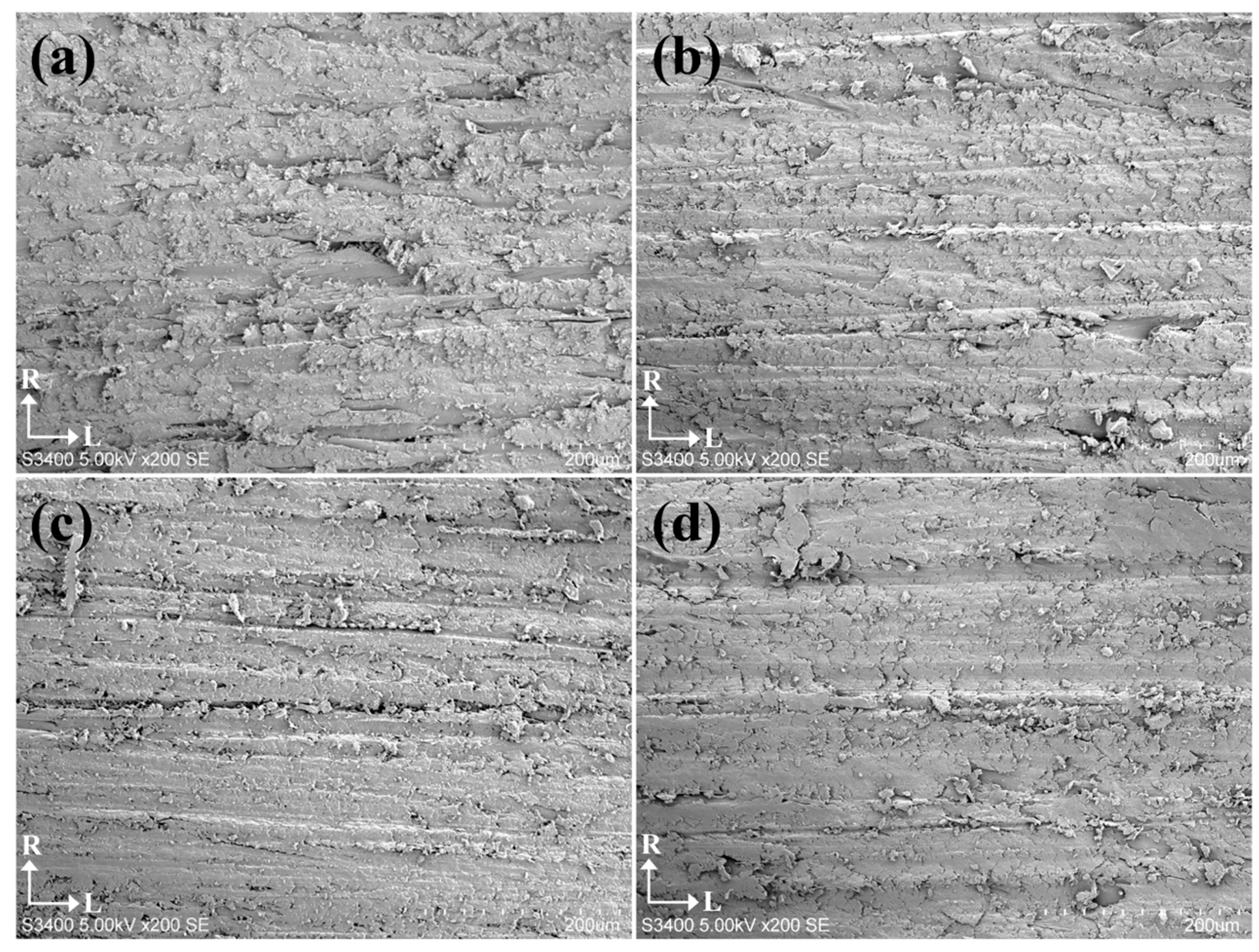 Coatings 09 00397 g005