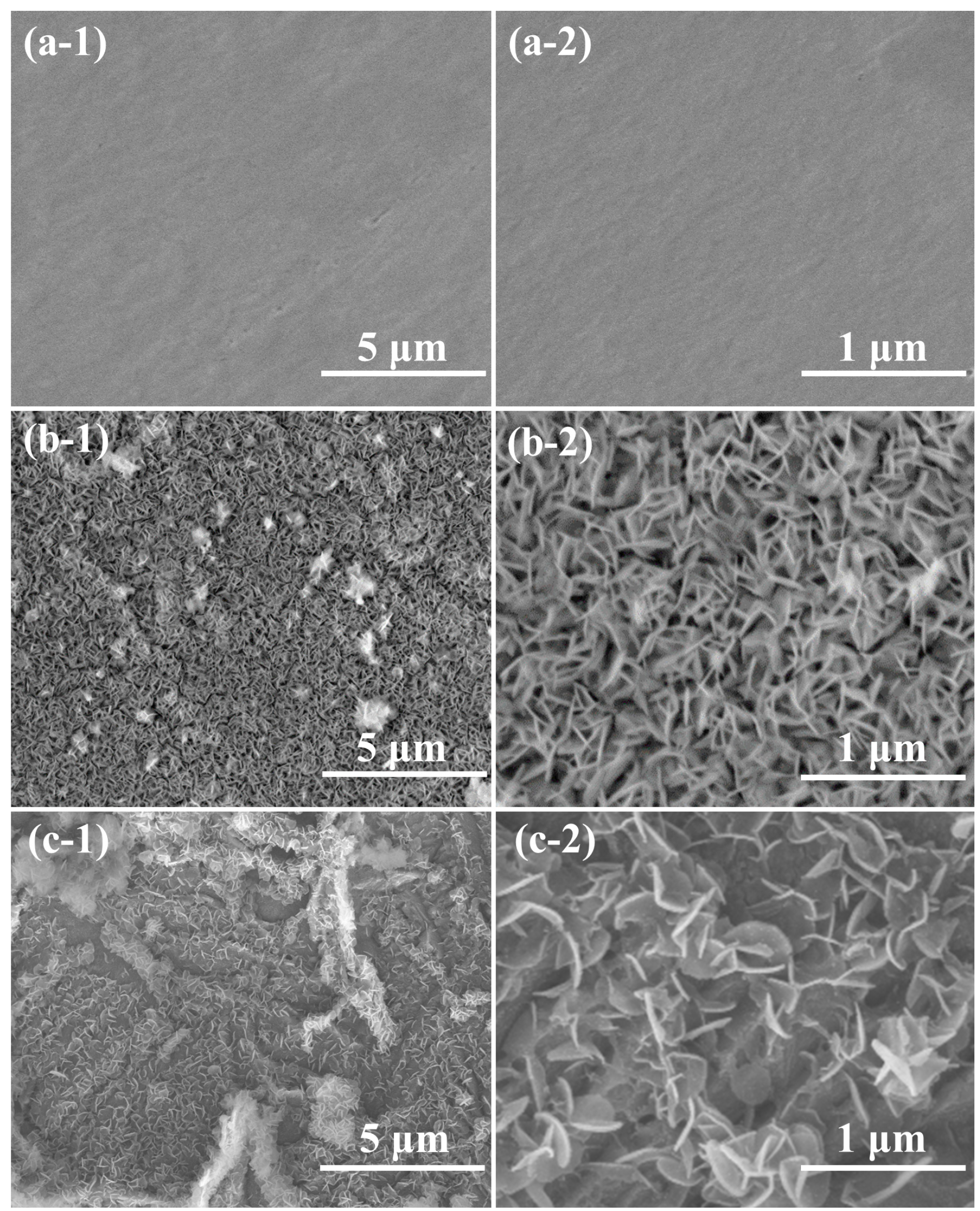 Coatings 09 00398 g001