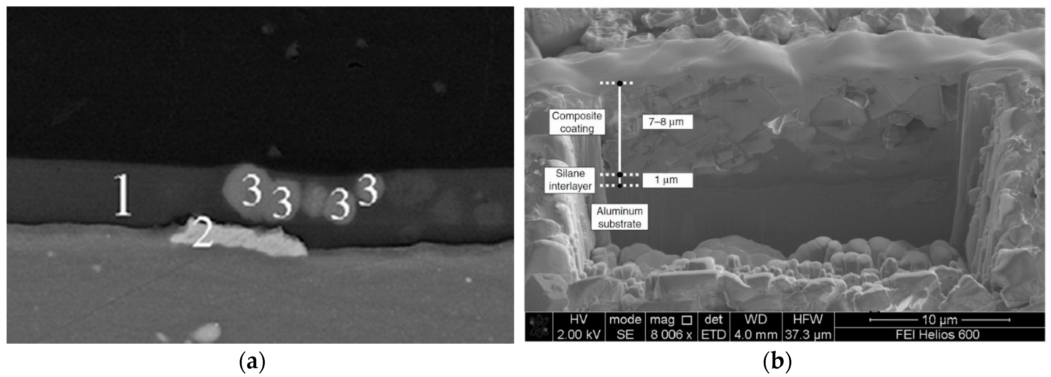 Coatings 09 00409 g003