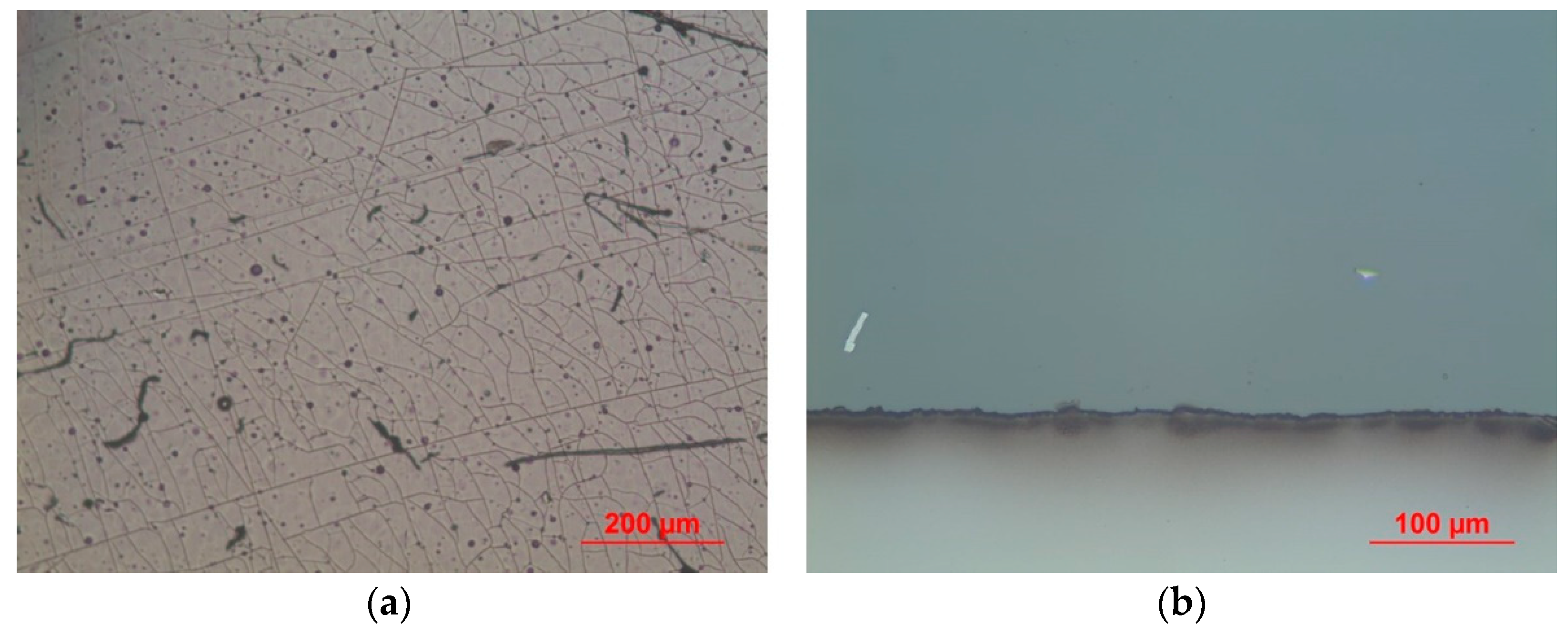 Coatings 09 00417 g004