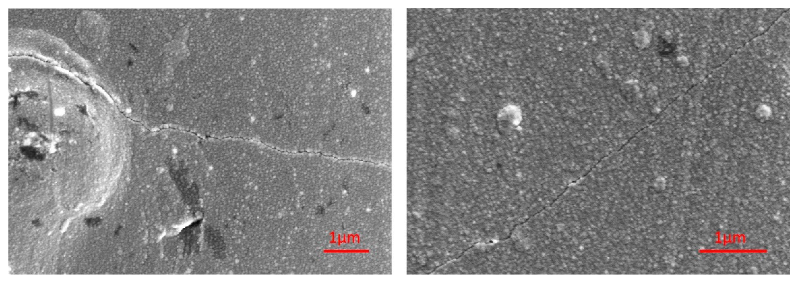 Coatings 09 00417 g005