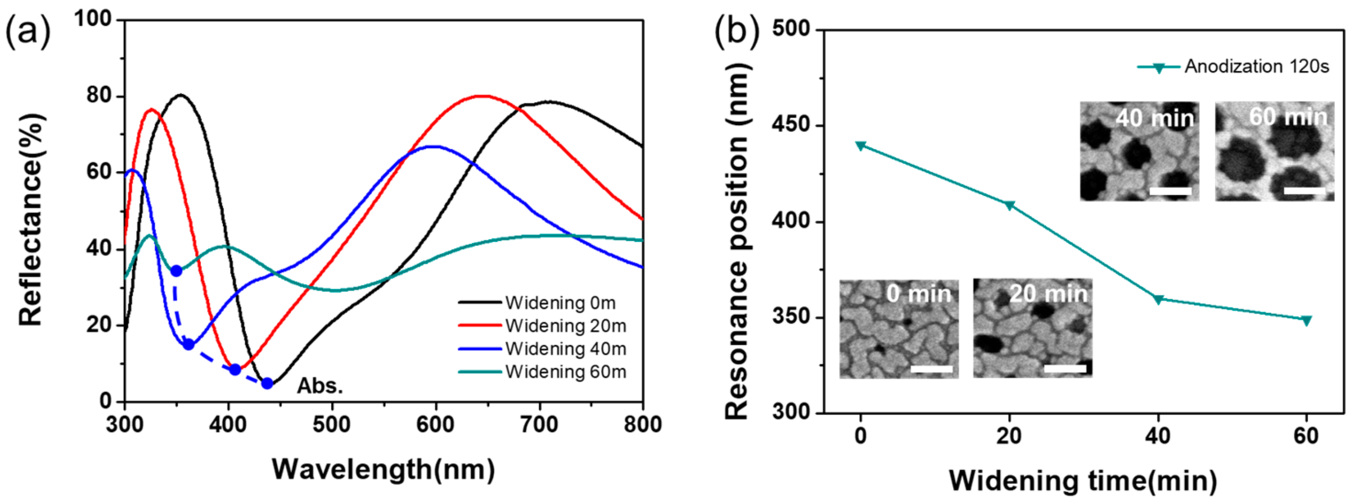 Coatings 09 00420 g006