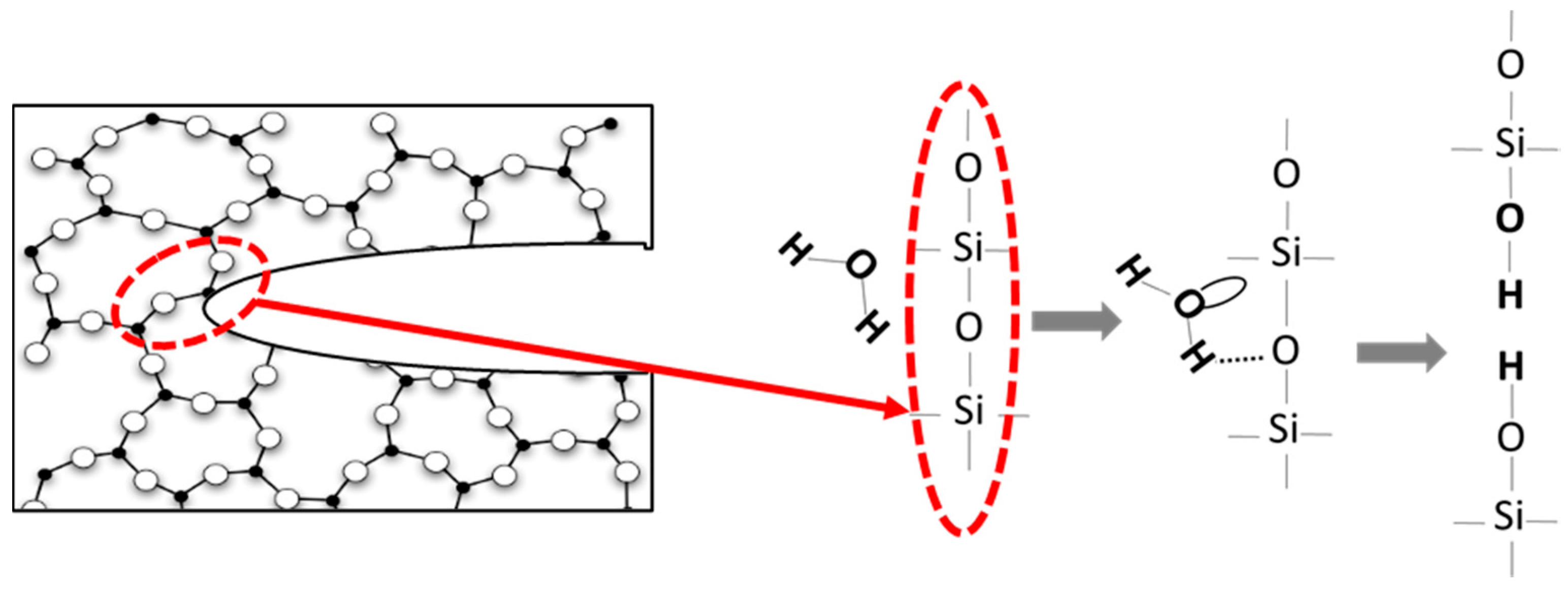 Coatings 09 00424 g001