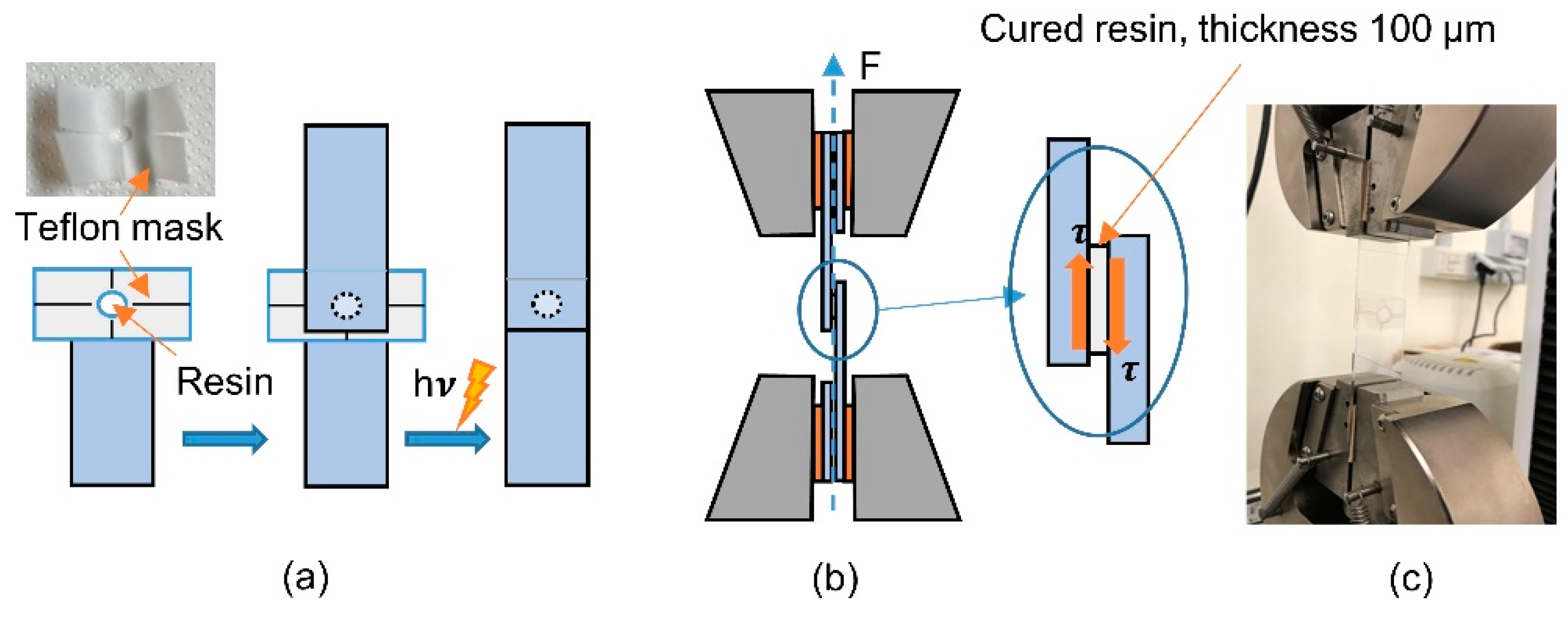 Coatings 09 00424 g003