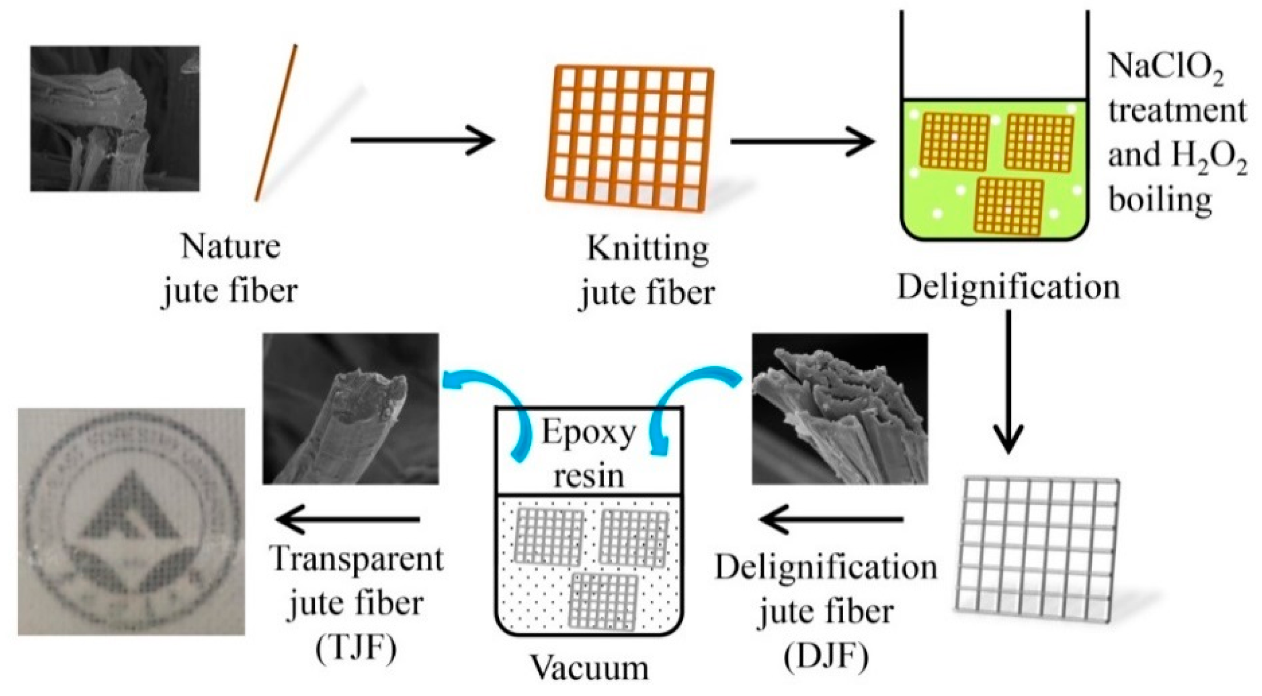 Coatings 09 00433 g002