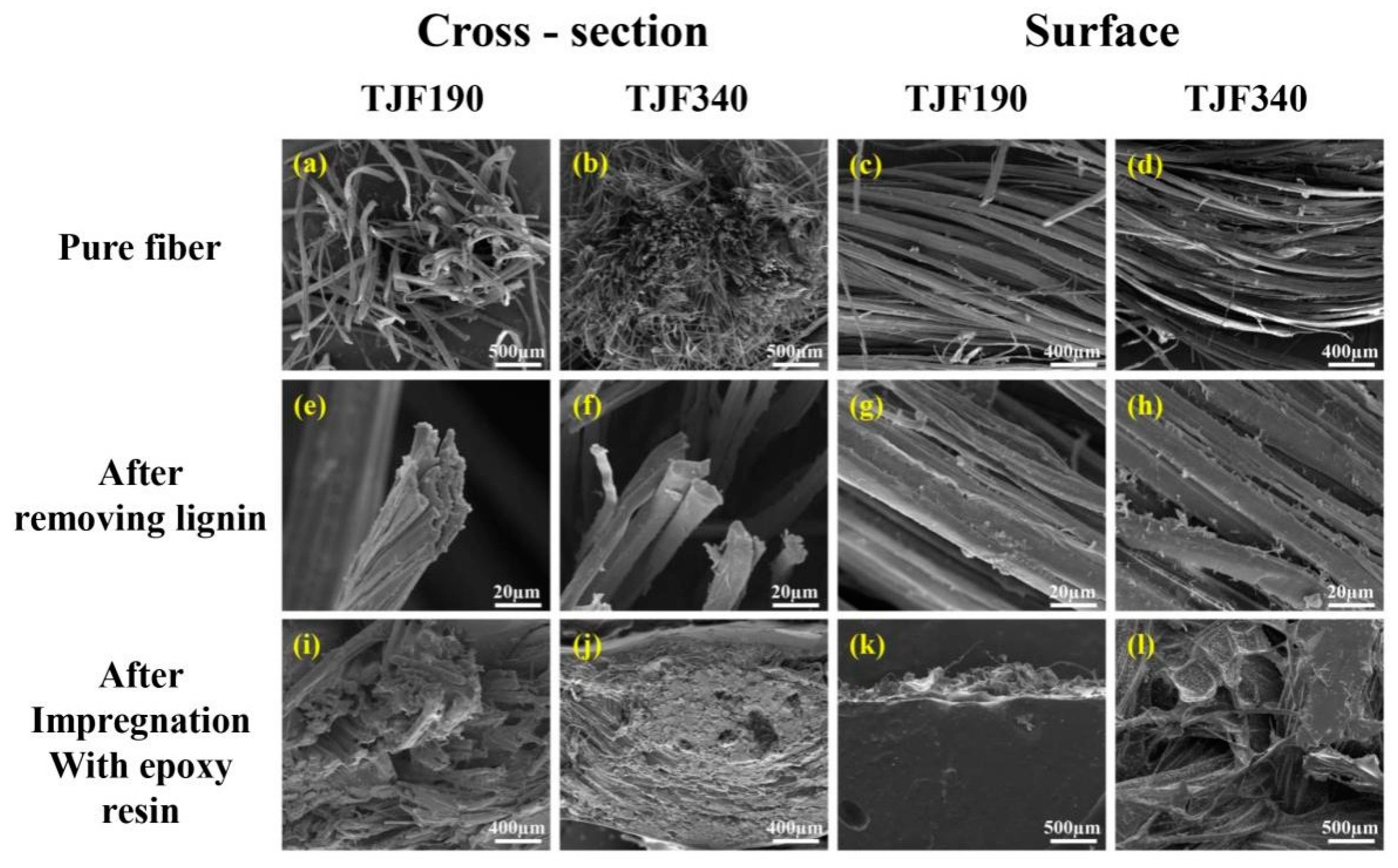 Coatings 09 00433 g007