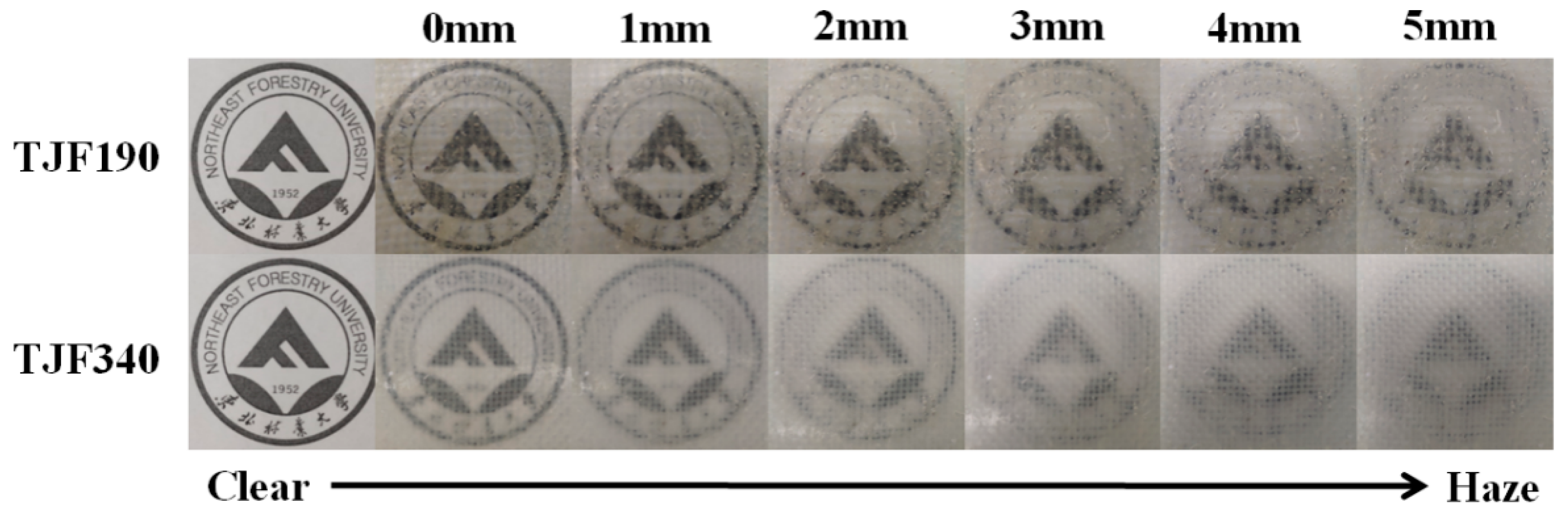 Coatings 09 00433 g008